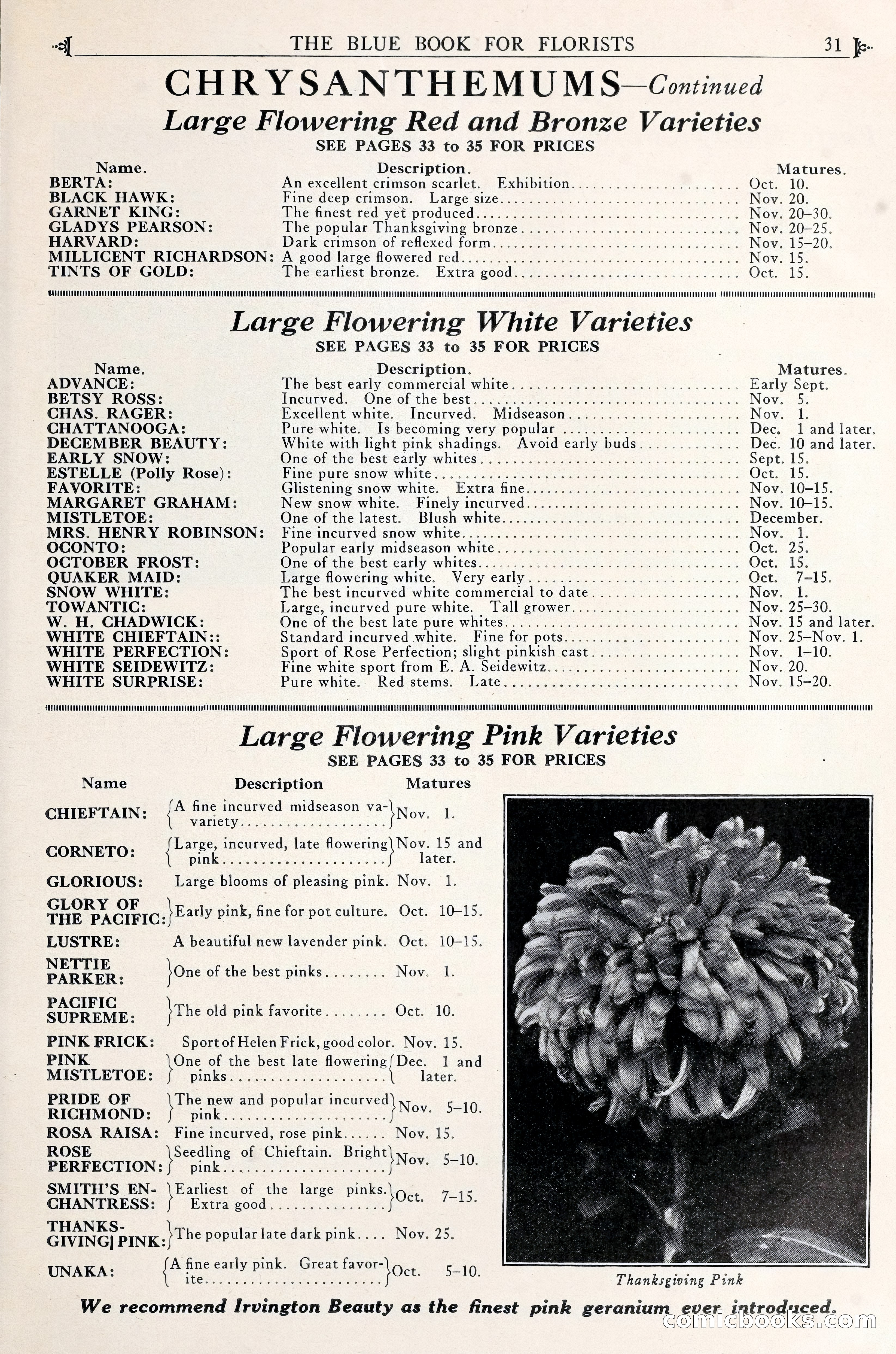 Good & Reese Co.'s Blue Book for Florists — page 35 of 60