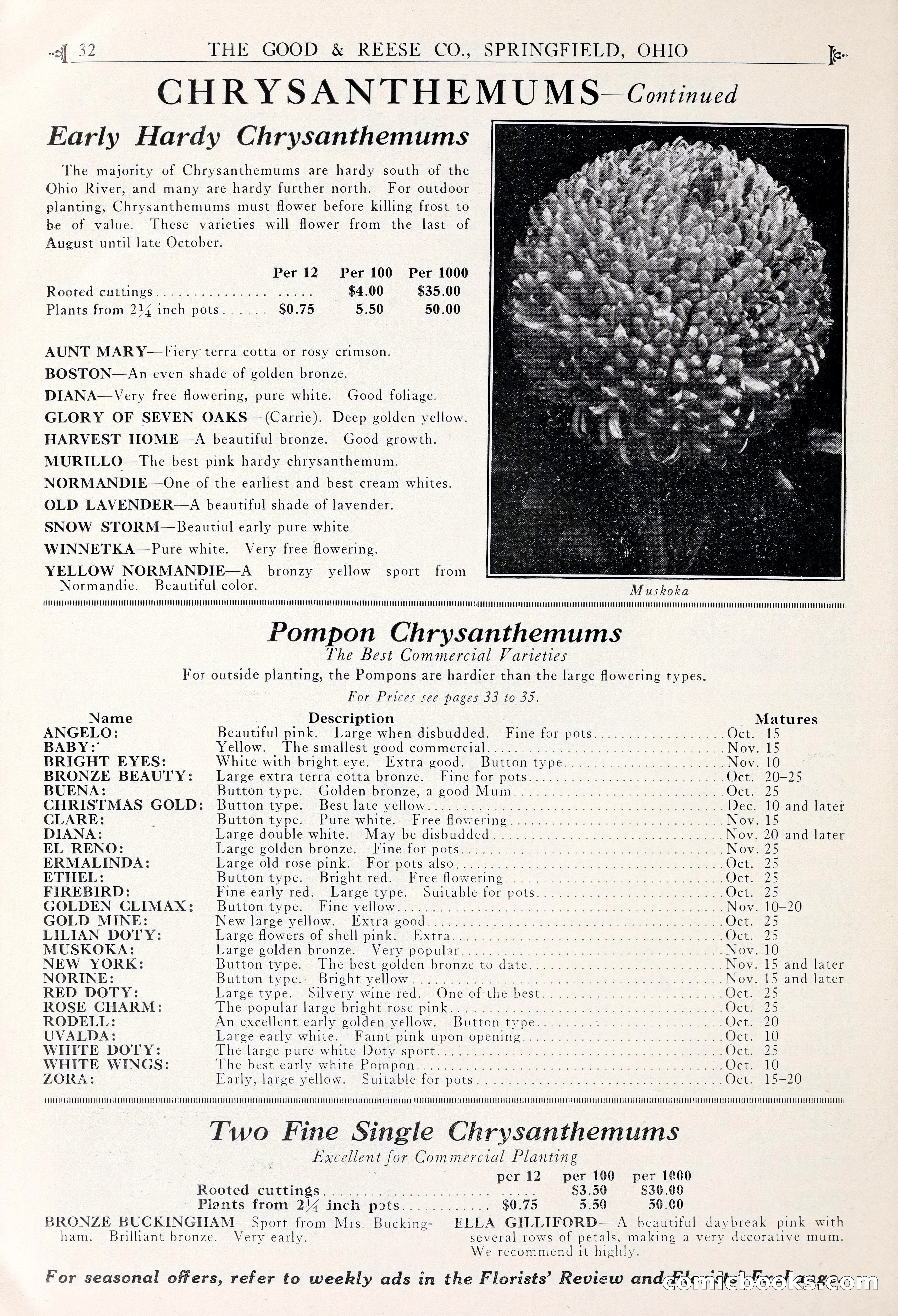 Good & Reese Co.'s Blue Book for Florists — page 36 of 60