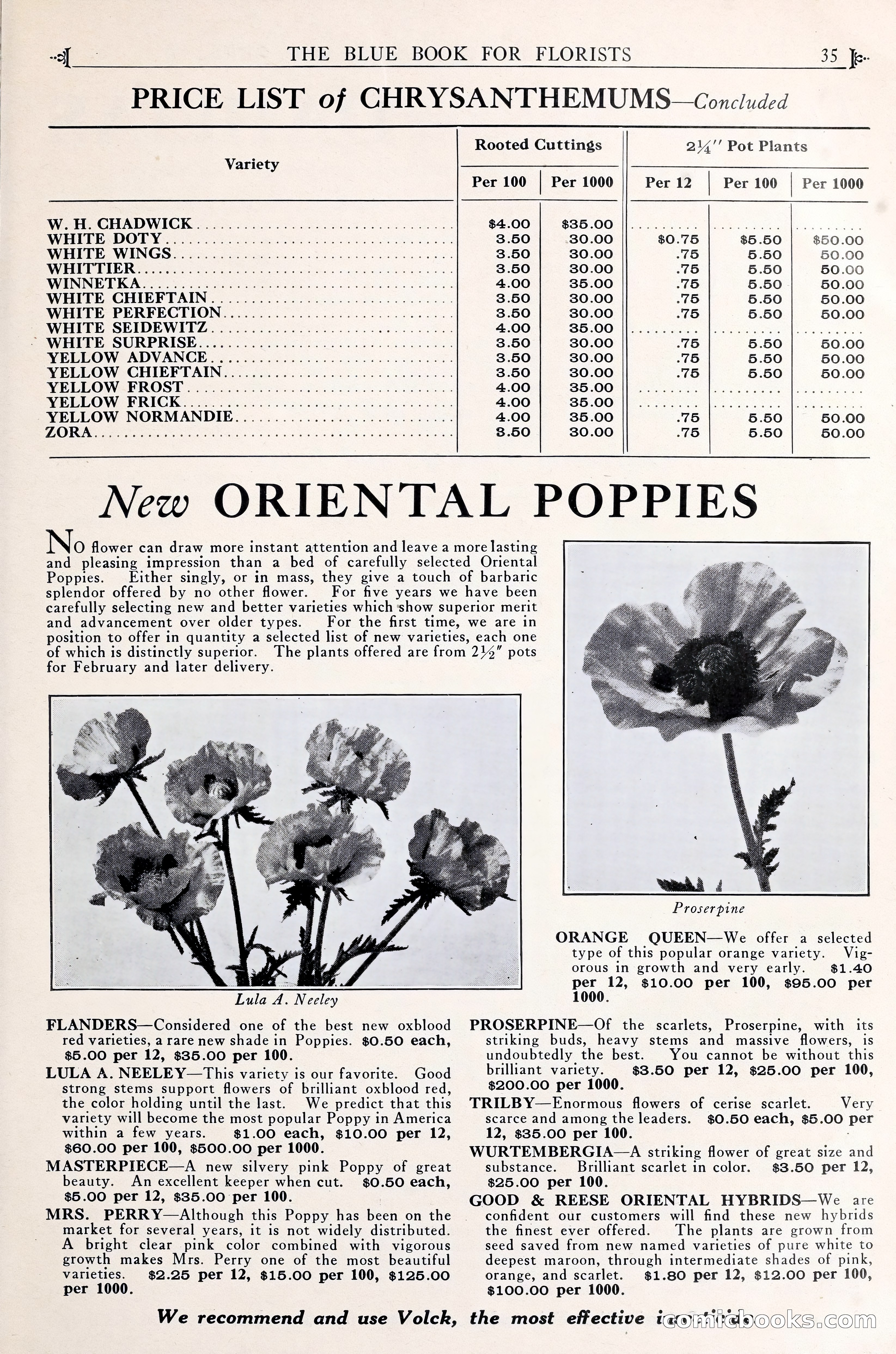 Good & Reese Co.'s Blue Book for Florists — page 39 of 60
