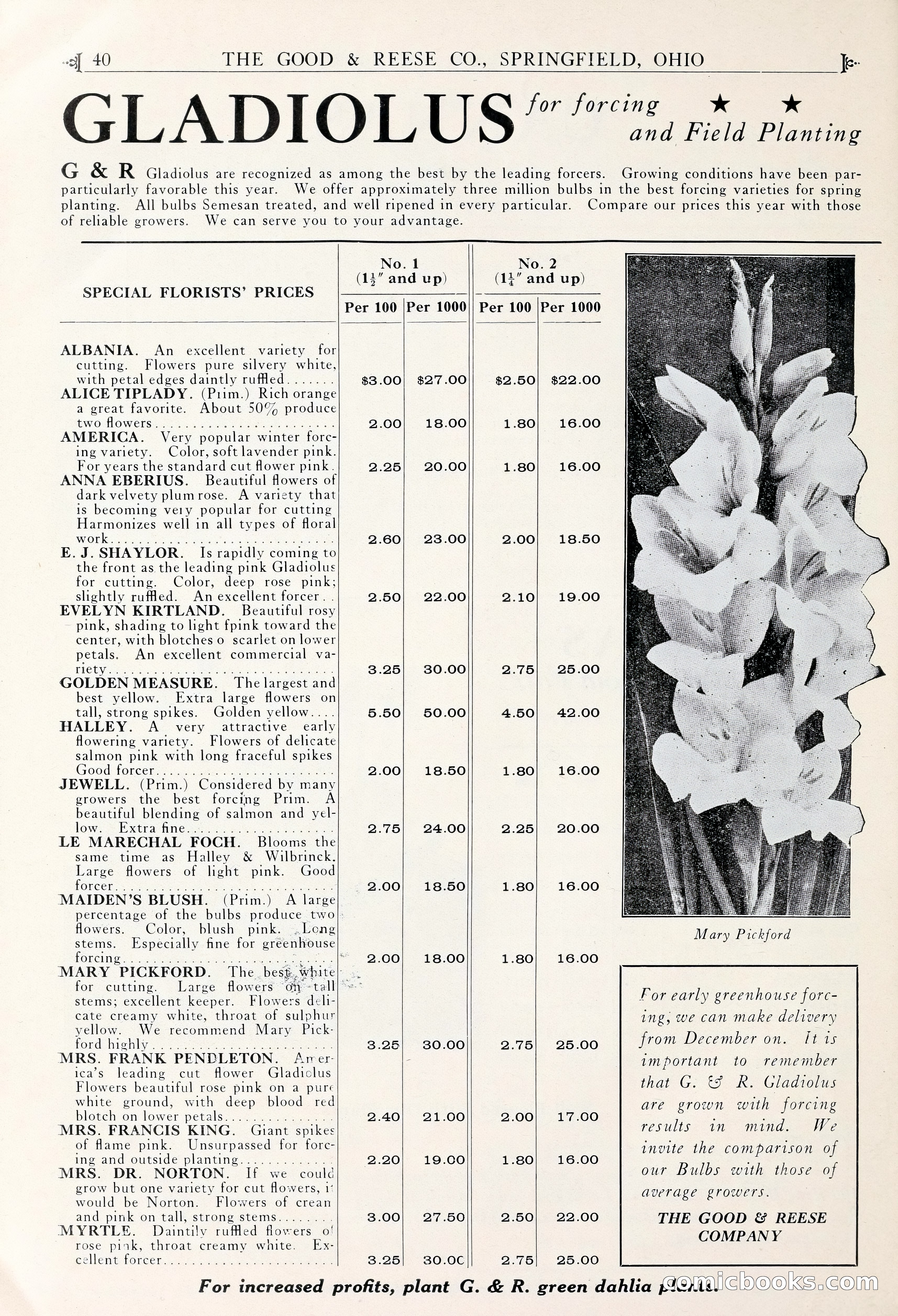 Good & Reese Co.'s Blue Book for Florists — page 44 of 60