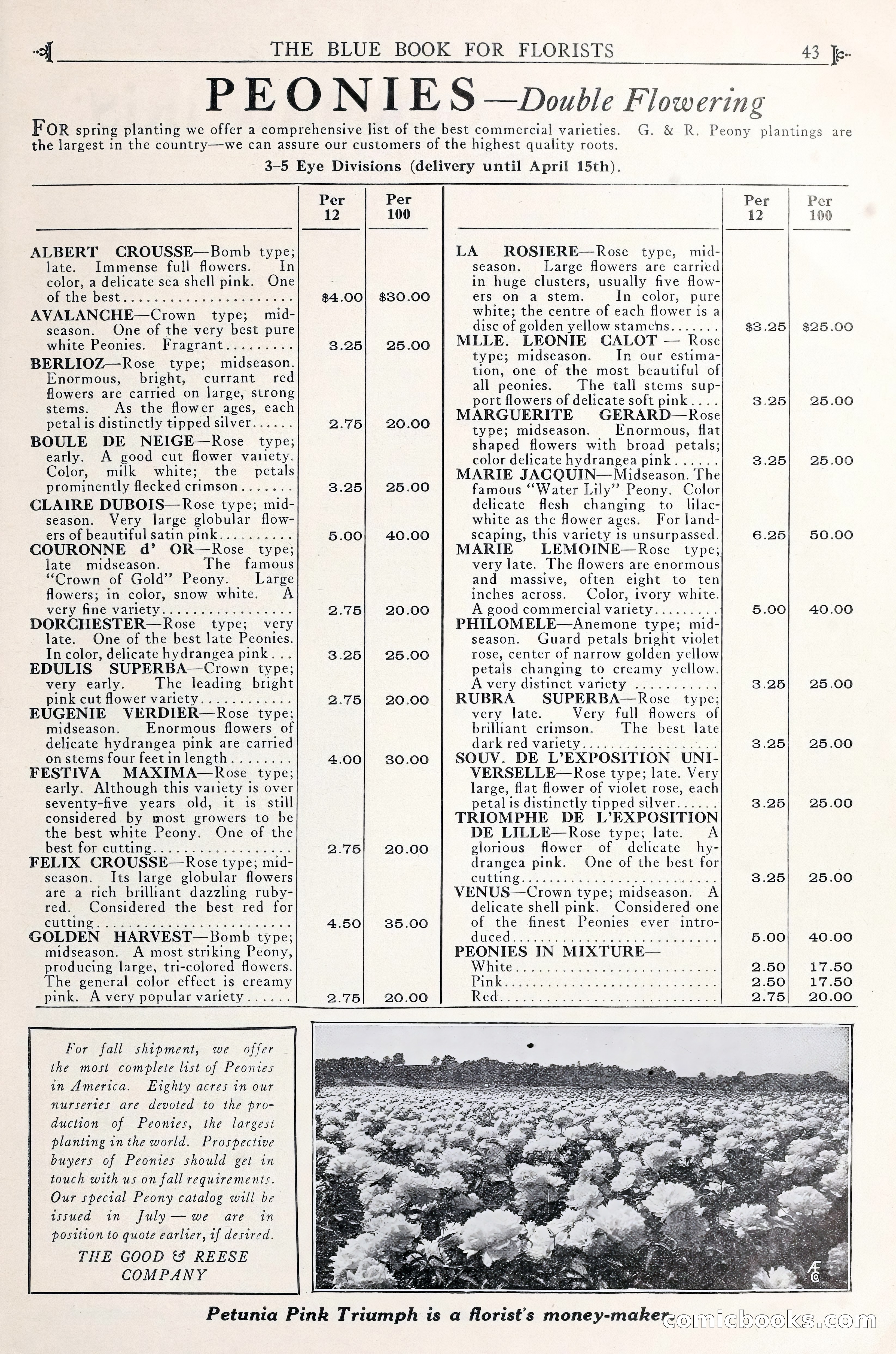 Good & Reese Co.'s Blue Book for Florists — page 47 of 60