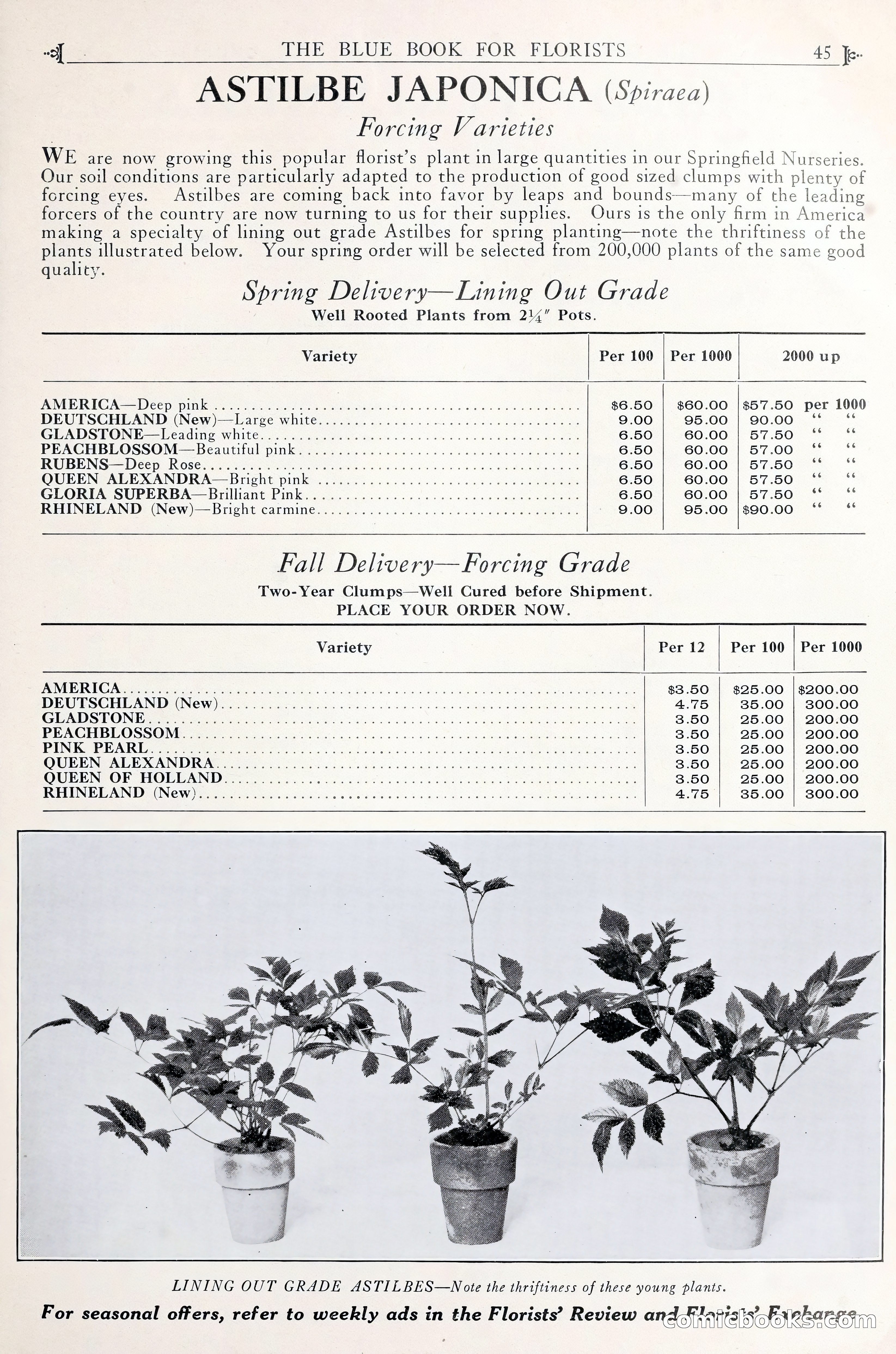 Good & Reese Co.'s Blue Book for Florists — page 49 of 60