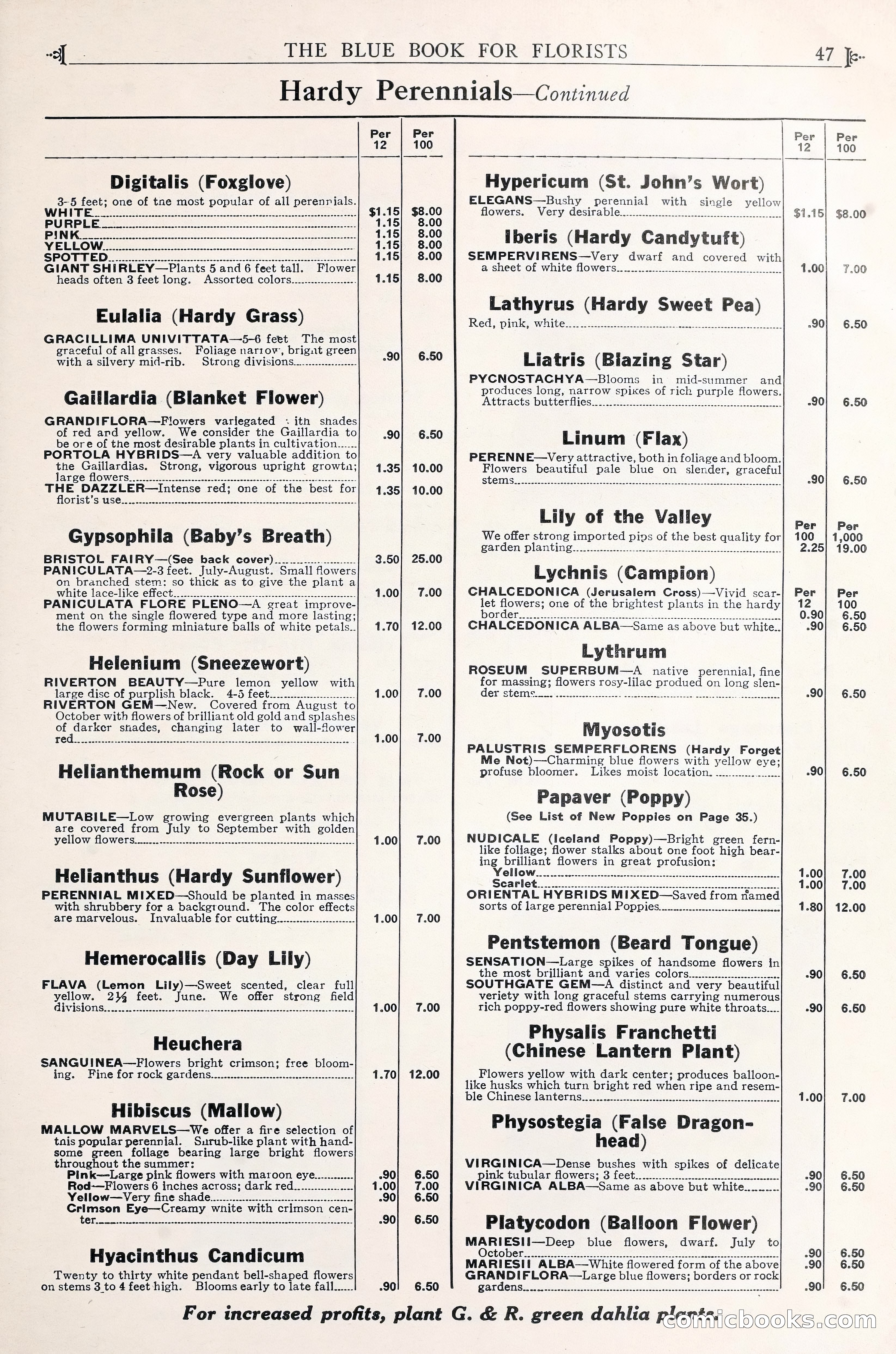 Good & Reese Co.'s Blue Book for Florists — page 51 of 60