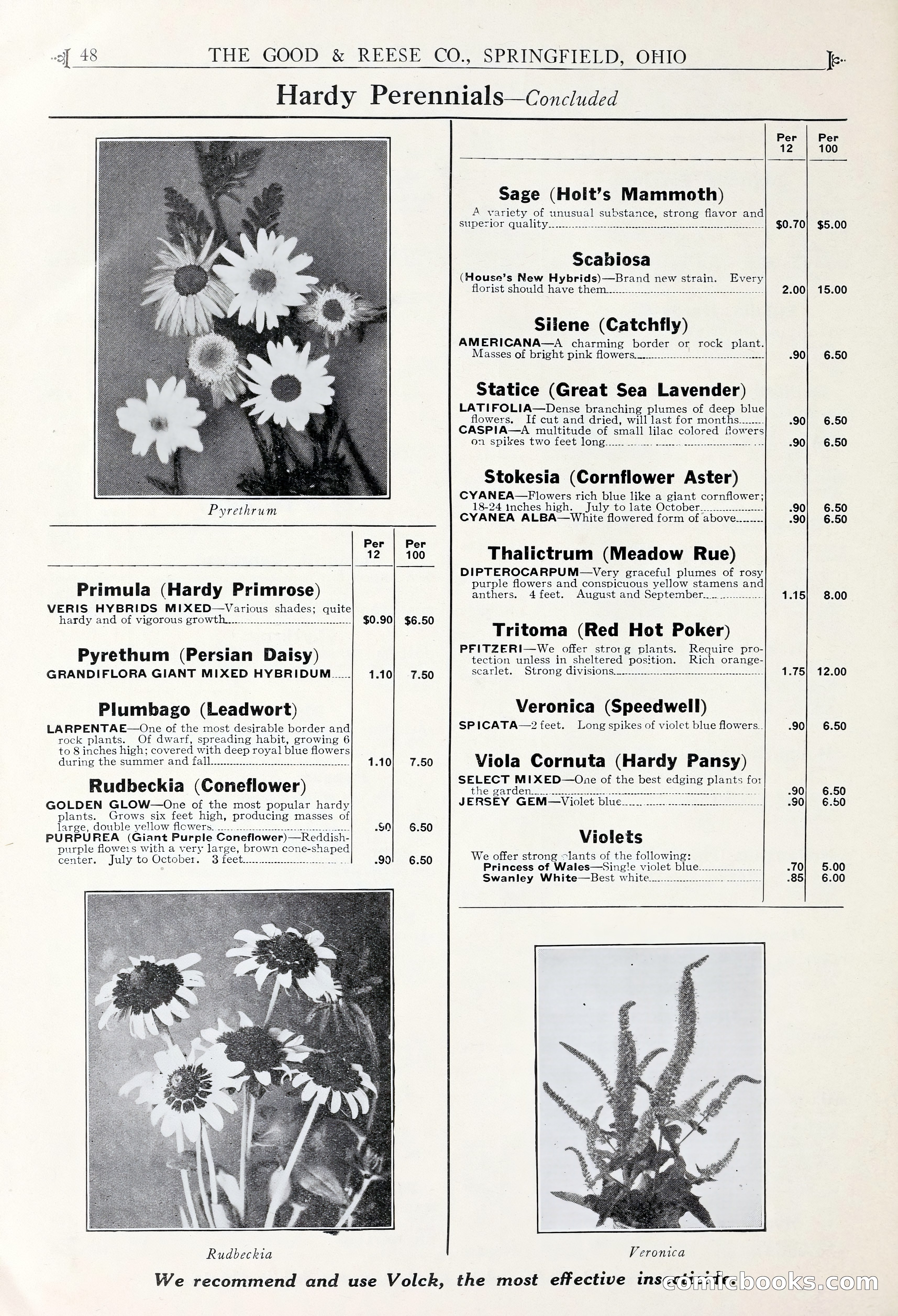 Good & Reese Co.'s Blue Book for Florists — page 52 of 60