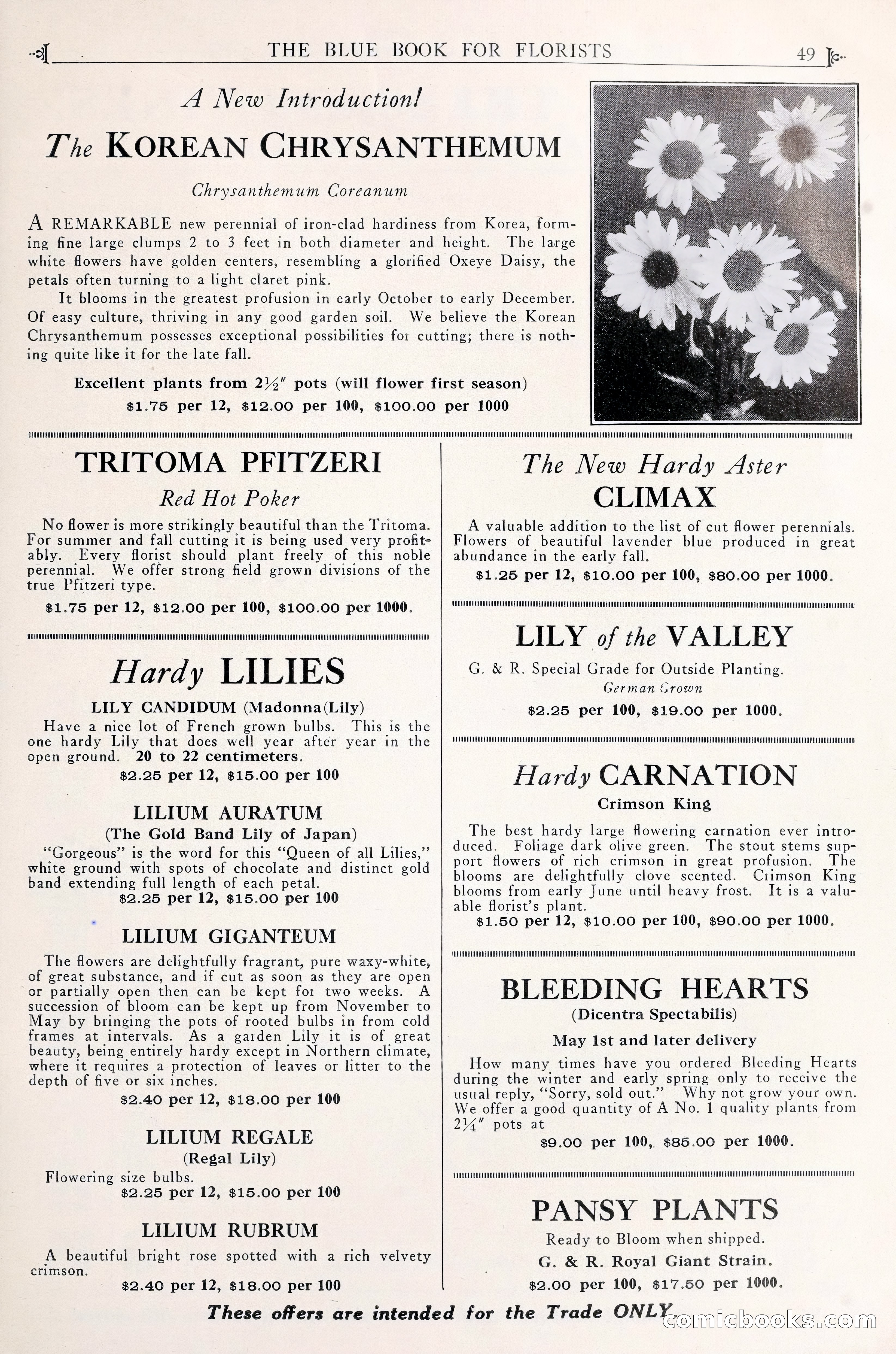 Good & Reese Co.'s Blue Book for Florists — page 53 of 60