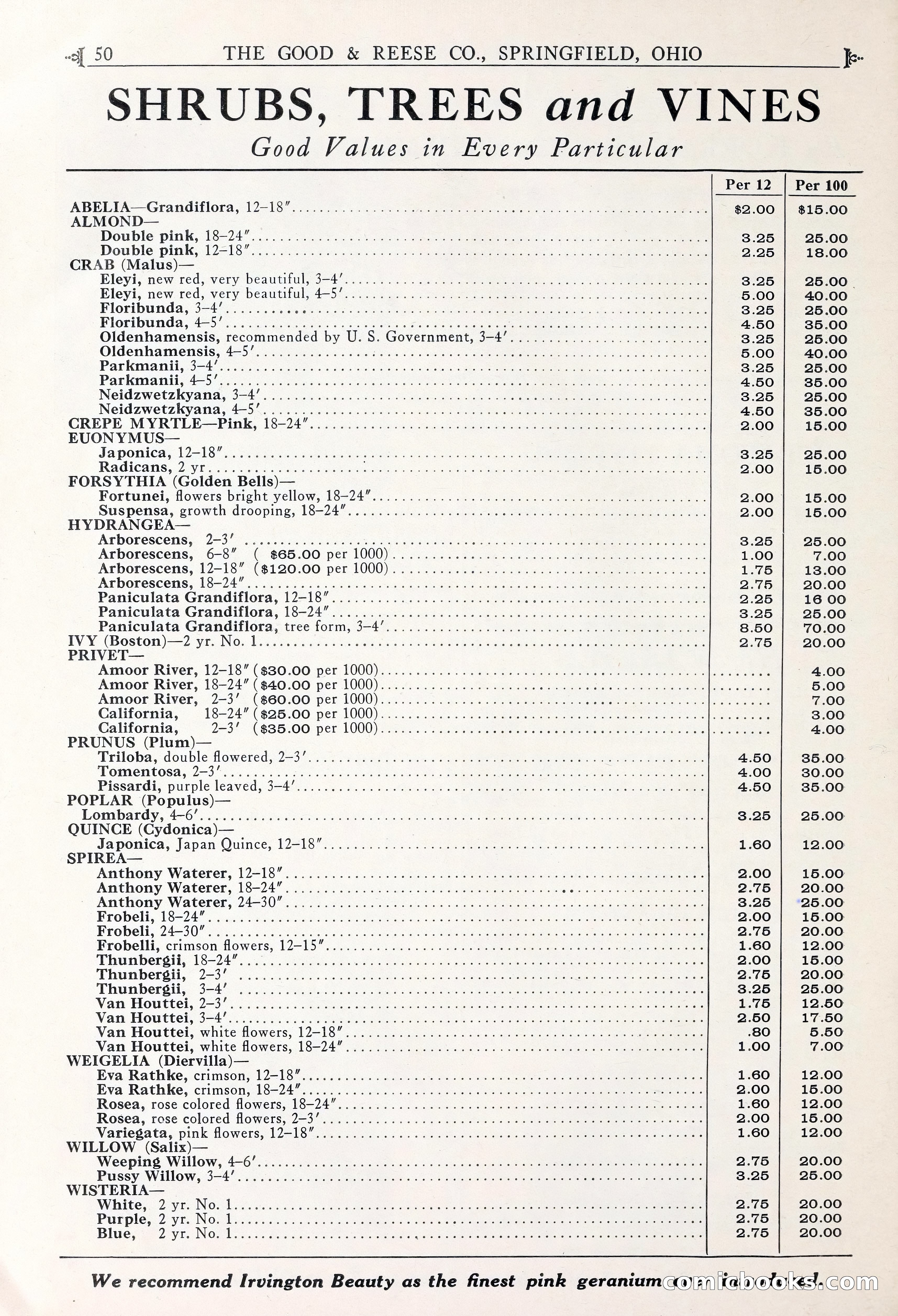 Good & Reese Co.'s Blue Book for Florists — page 54 of 60