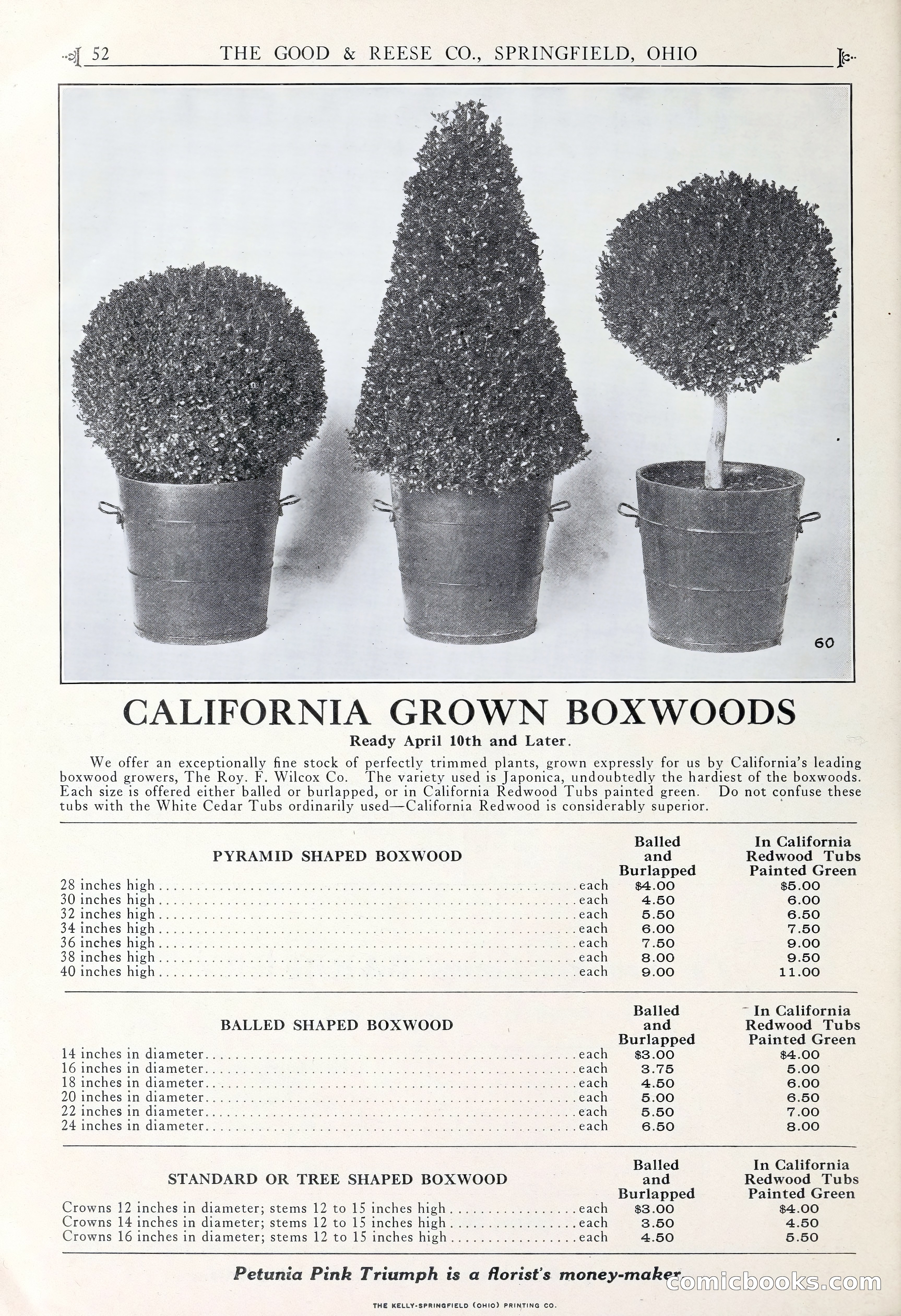 Good & Reese Co.'s Blue Book for Florists — page 56 of 60