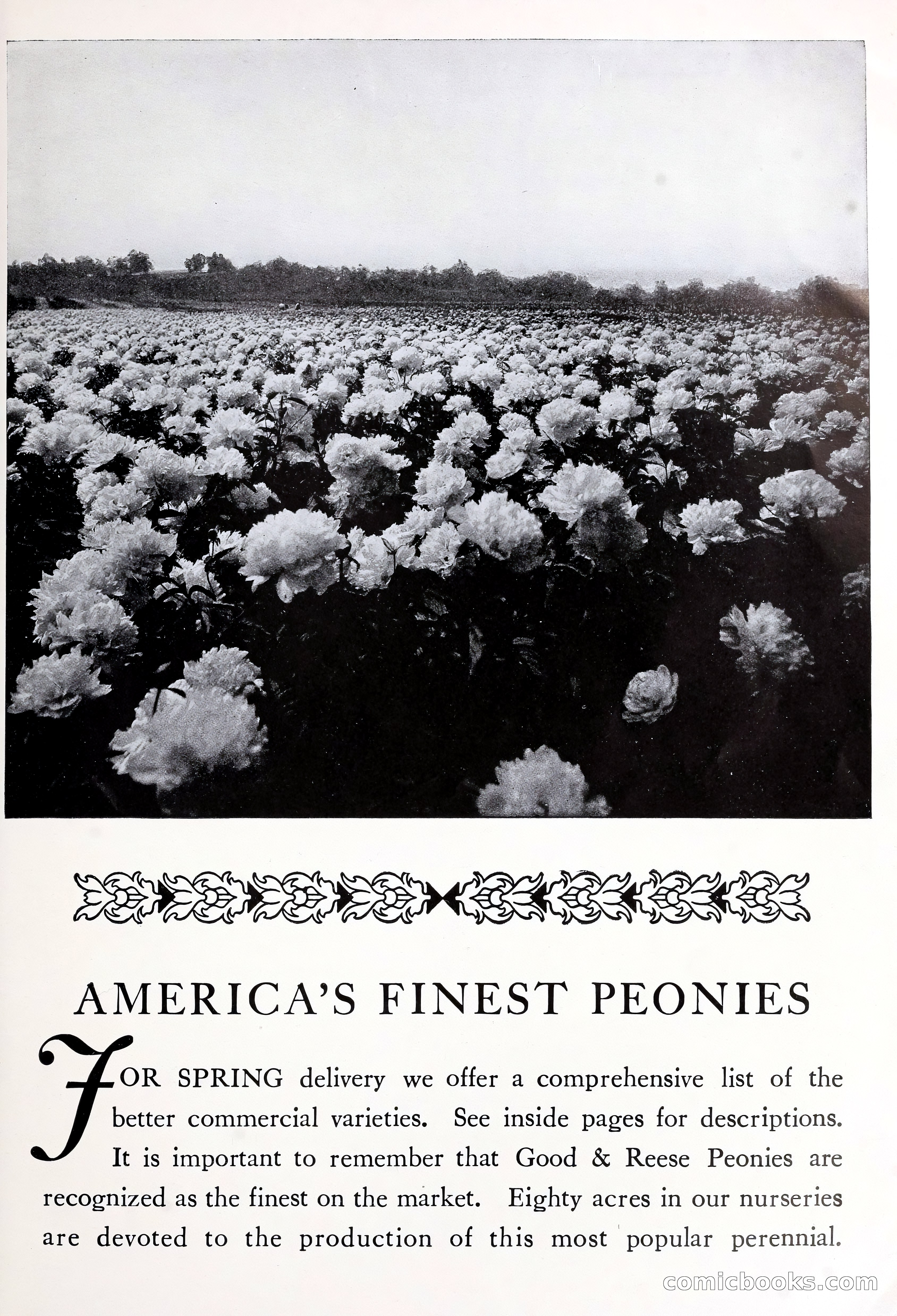 Good & Reese Co.'s Blue Book for Florists — page 57 of 60
