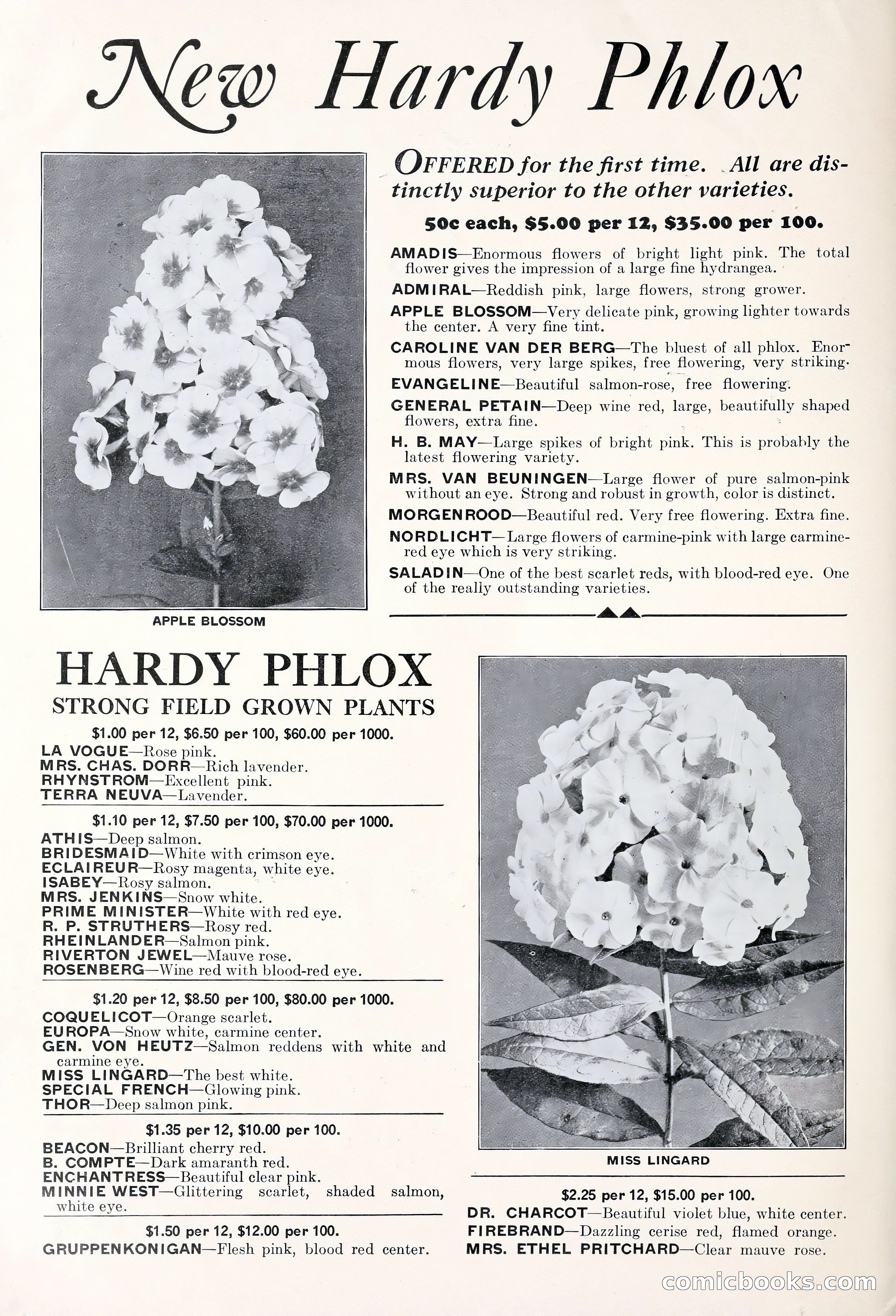 Good & Reese Co.'s Blue Book for Florists: Autumn 1930 — page 4 of 58