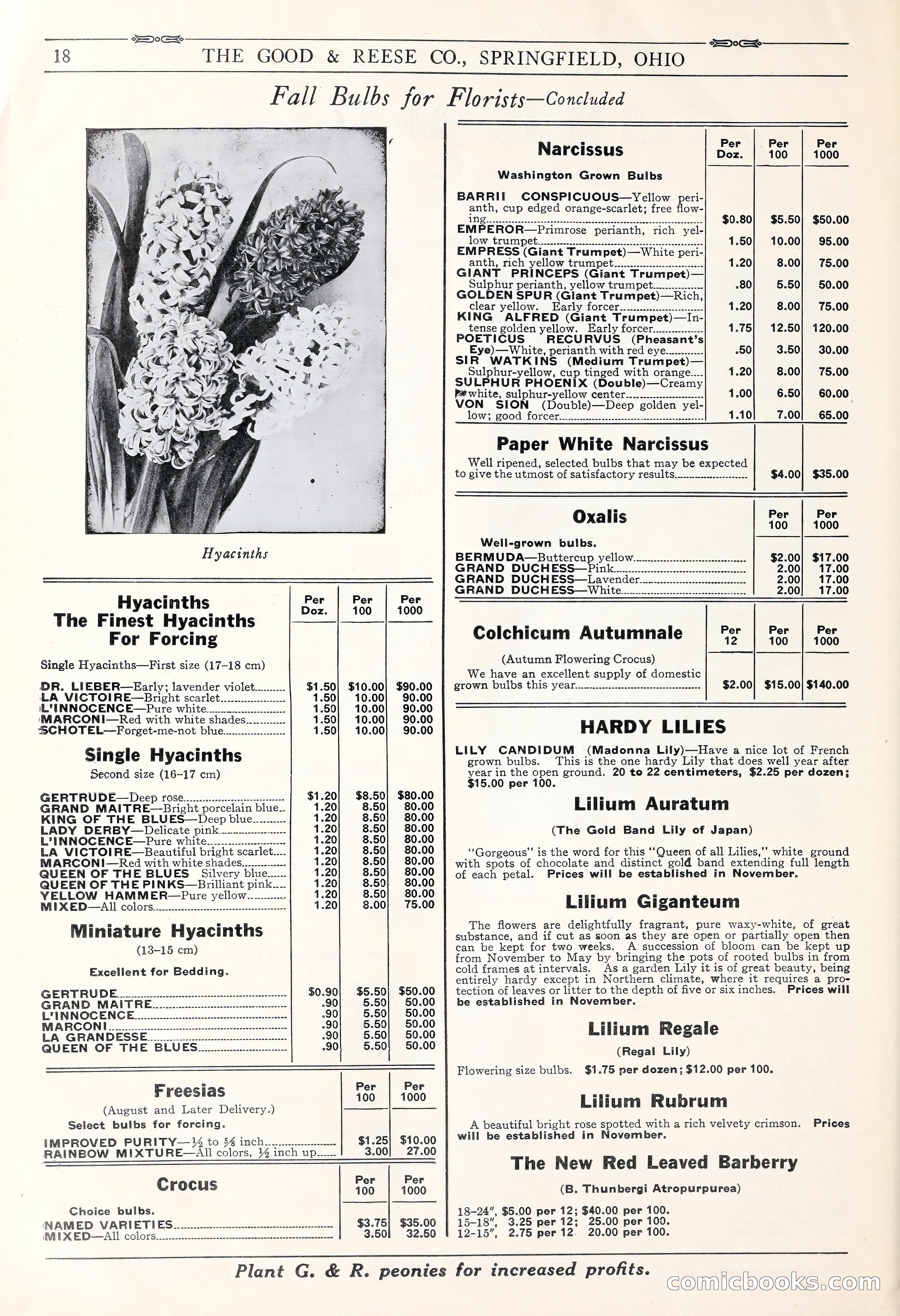 Good & Reese Co.'s Blue Book for Florists: Autumn 1930 — page 24 of 58