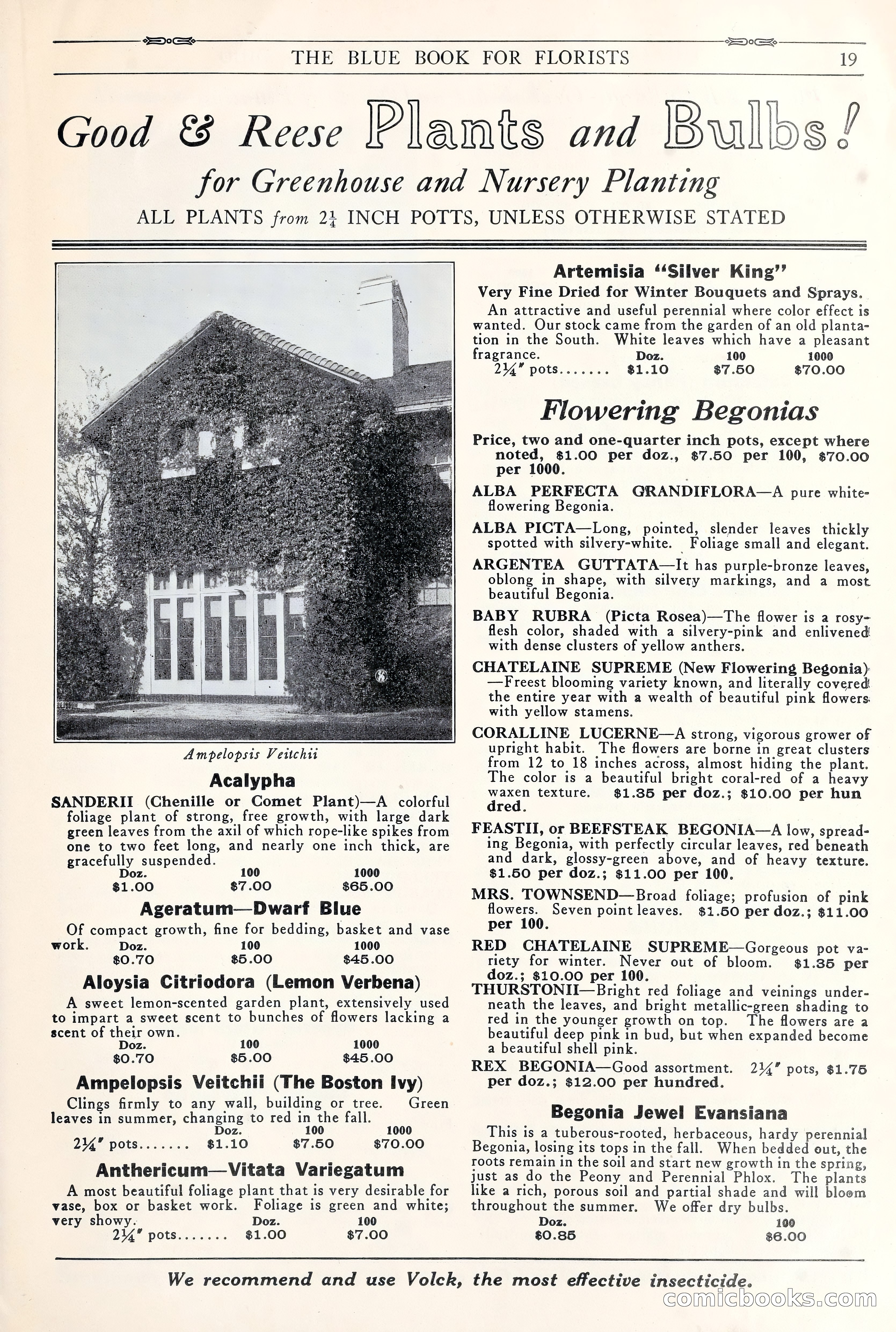 Good & Reese Co.'s Blue Book for Florists: Autumn 1930 — page 25 of 58