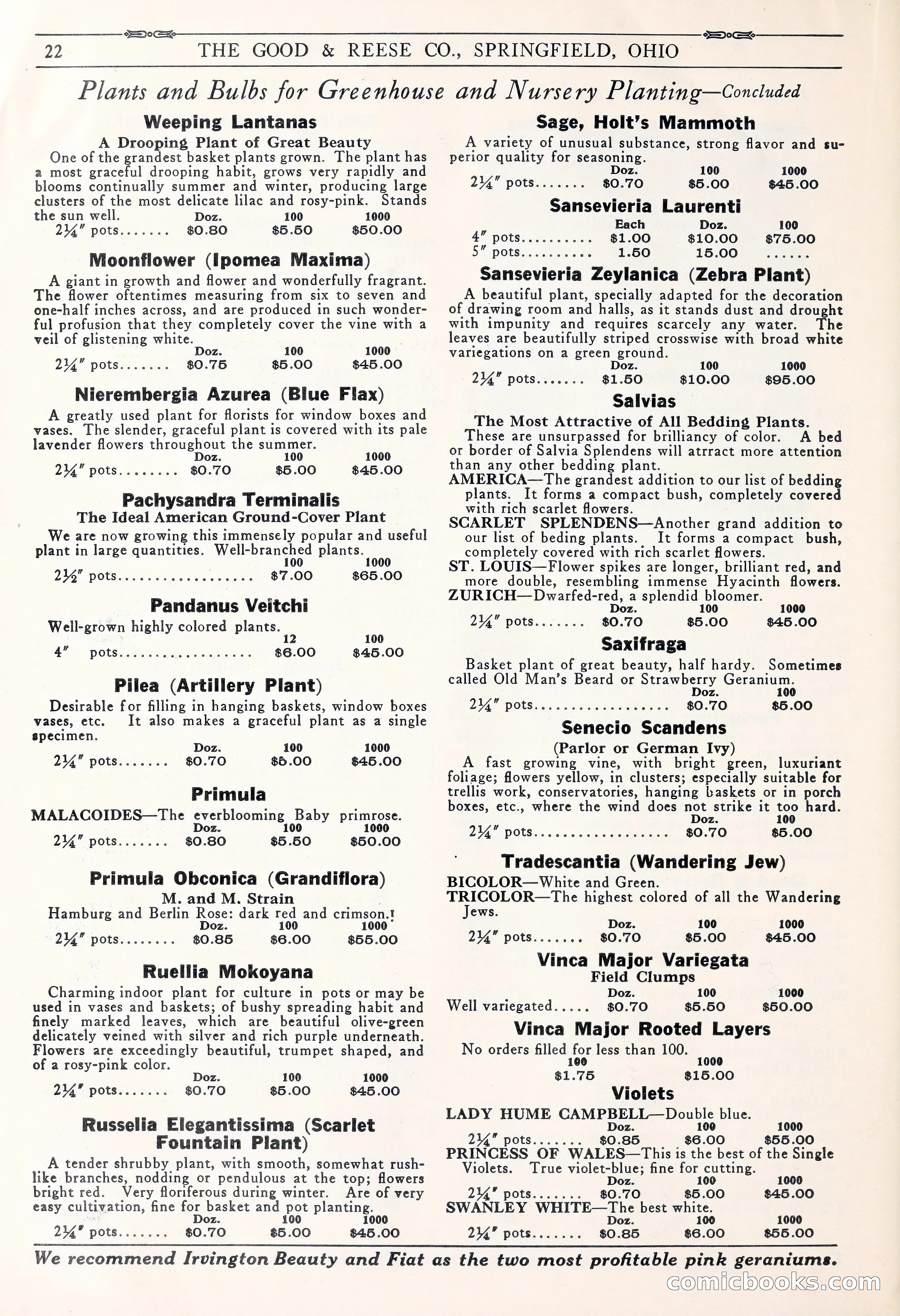 Good & Reese Co.'s Blue Book for Florists: Autumn 1930 — page 28 of 58