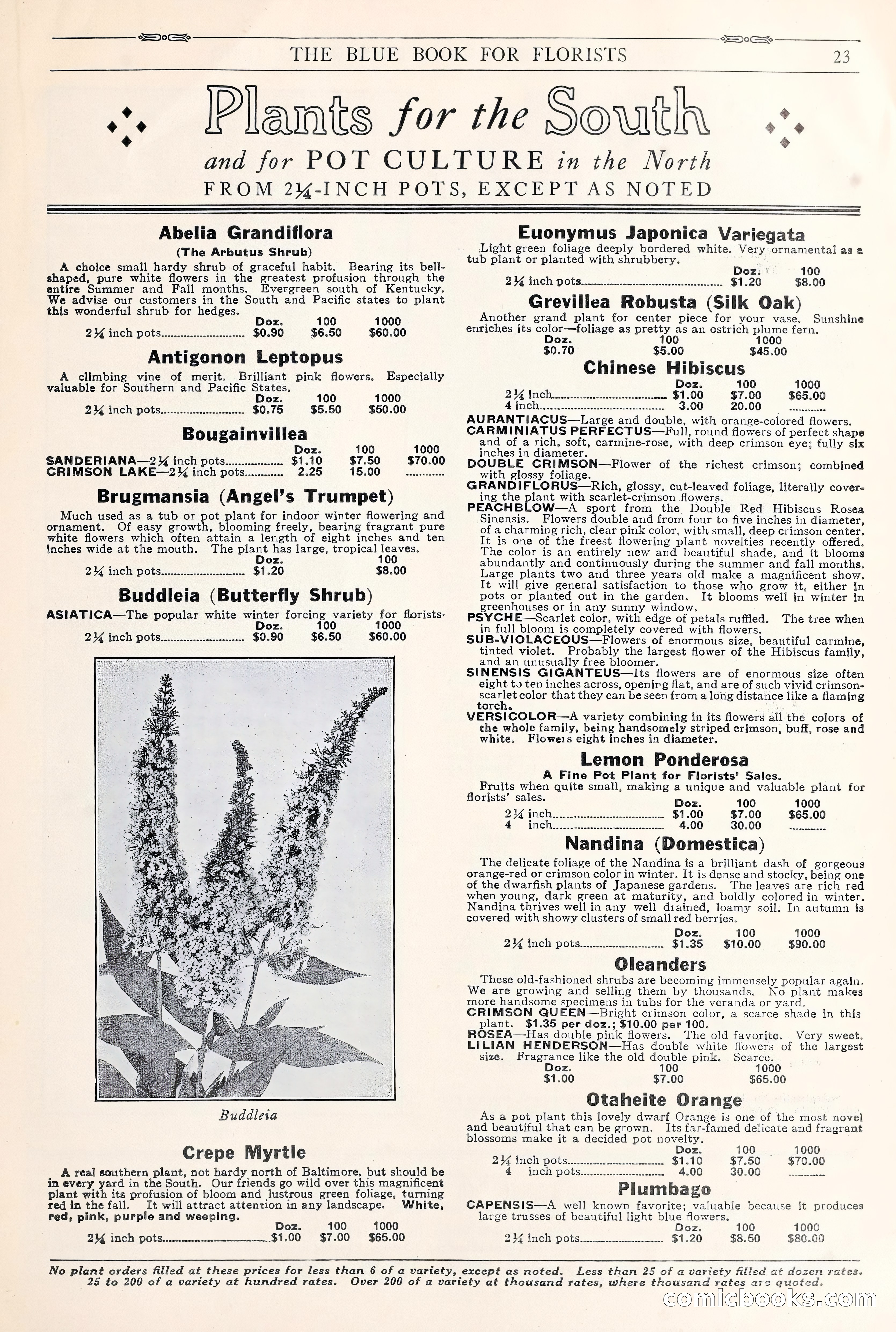 Good & Reese Co.'s Blue Book for Florists: Autumn 1930 — page 29 of 58
