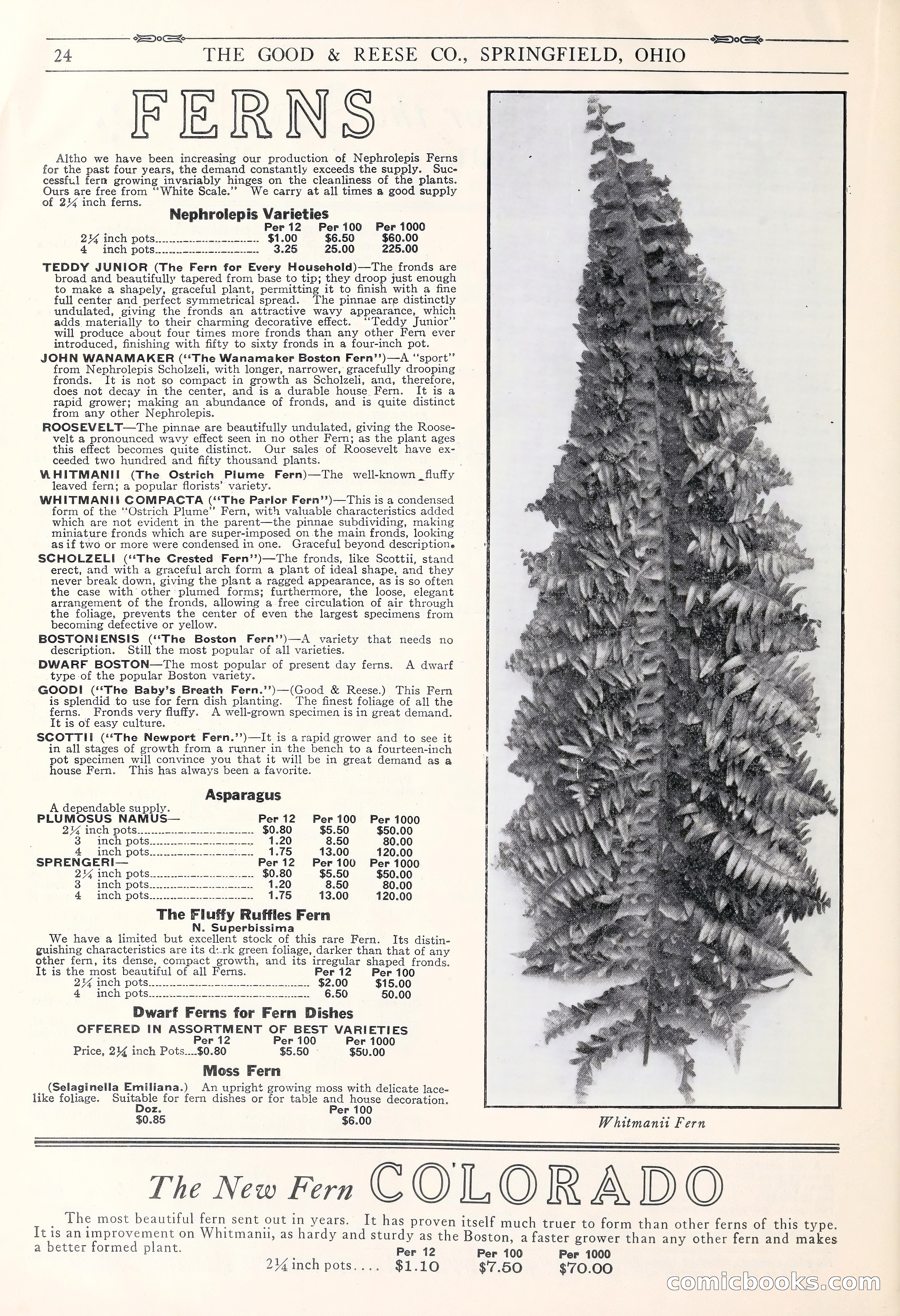 Good & Reese Co.'s Blue Book for Florists: Autumn 1930 — page 30 of 58
