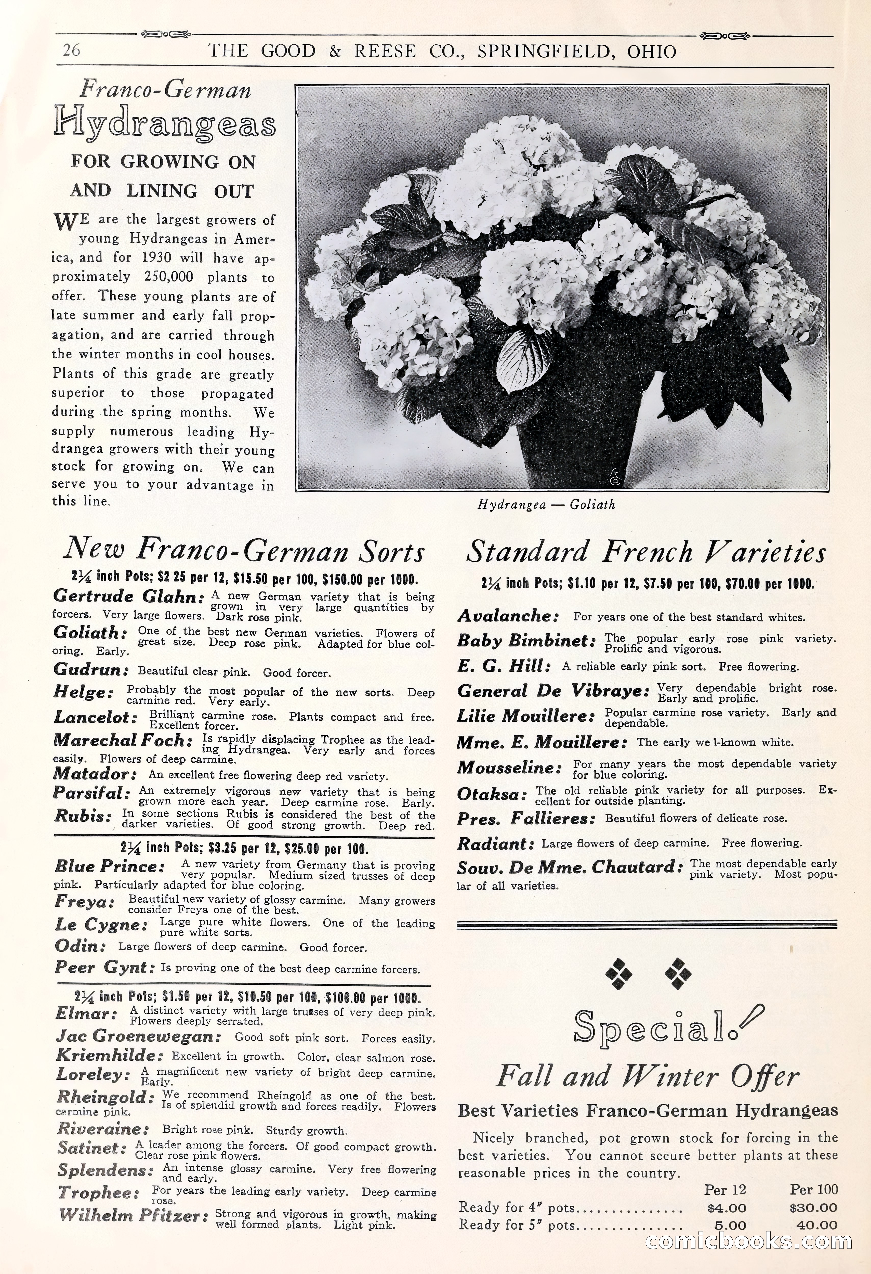 Good & Reese Co.'s Blue Book for Florists: Autumn 1930 — page 32 of 58