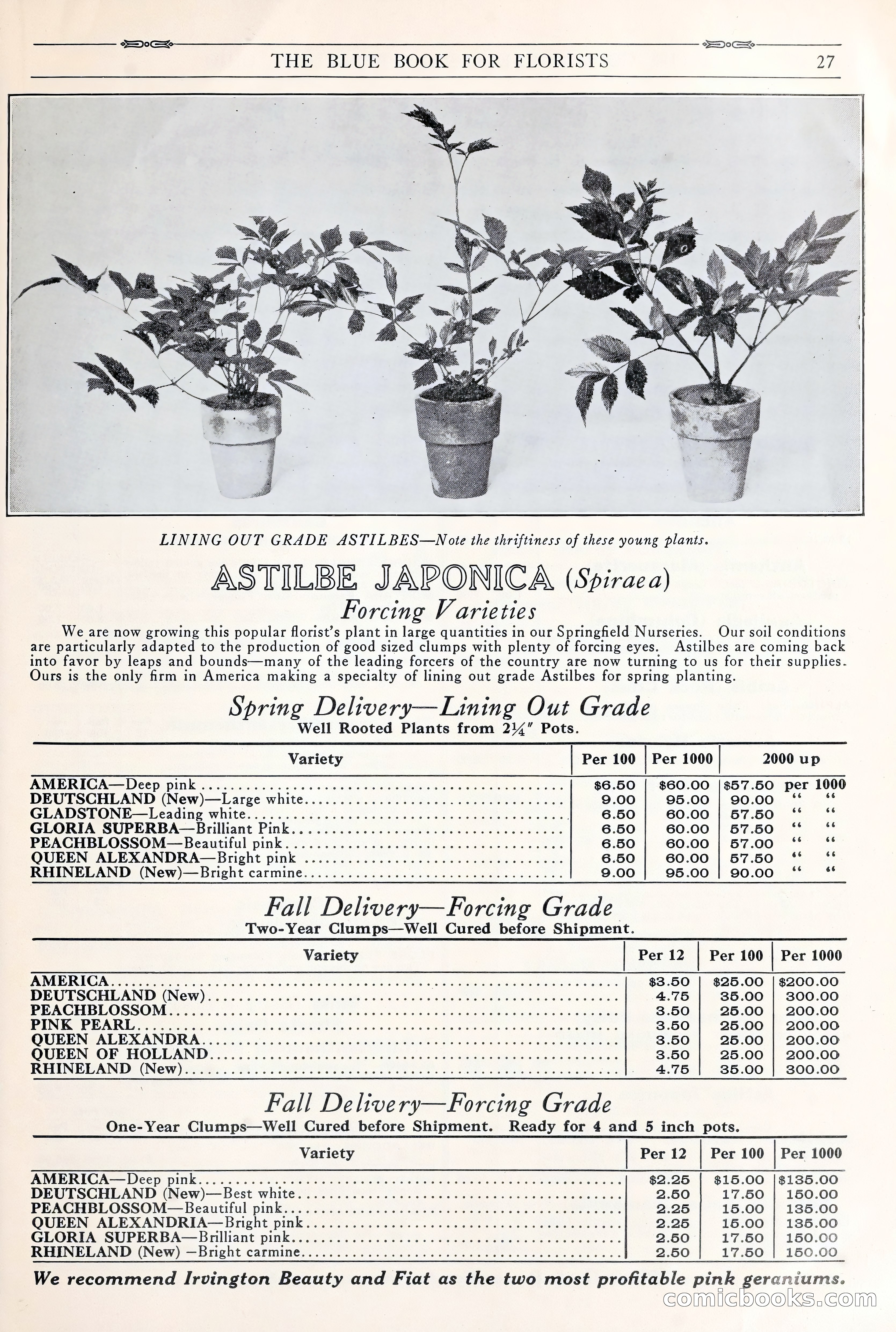 Good & Reese Co.'s Blue Book for Florists: Autumn 1930 — page 33 of 58
