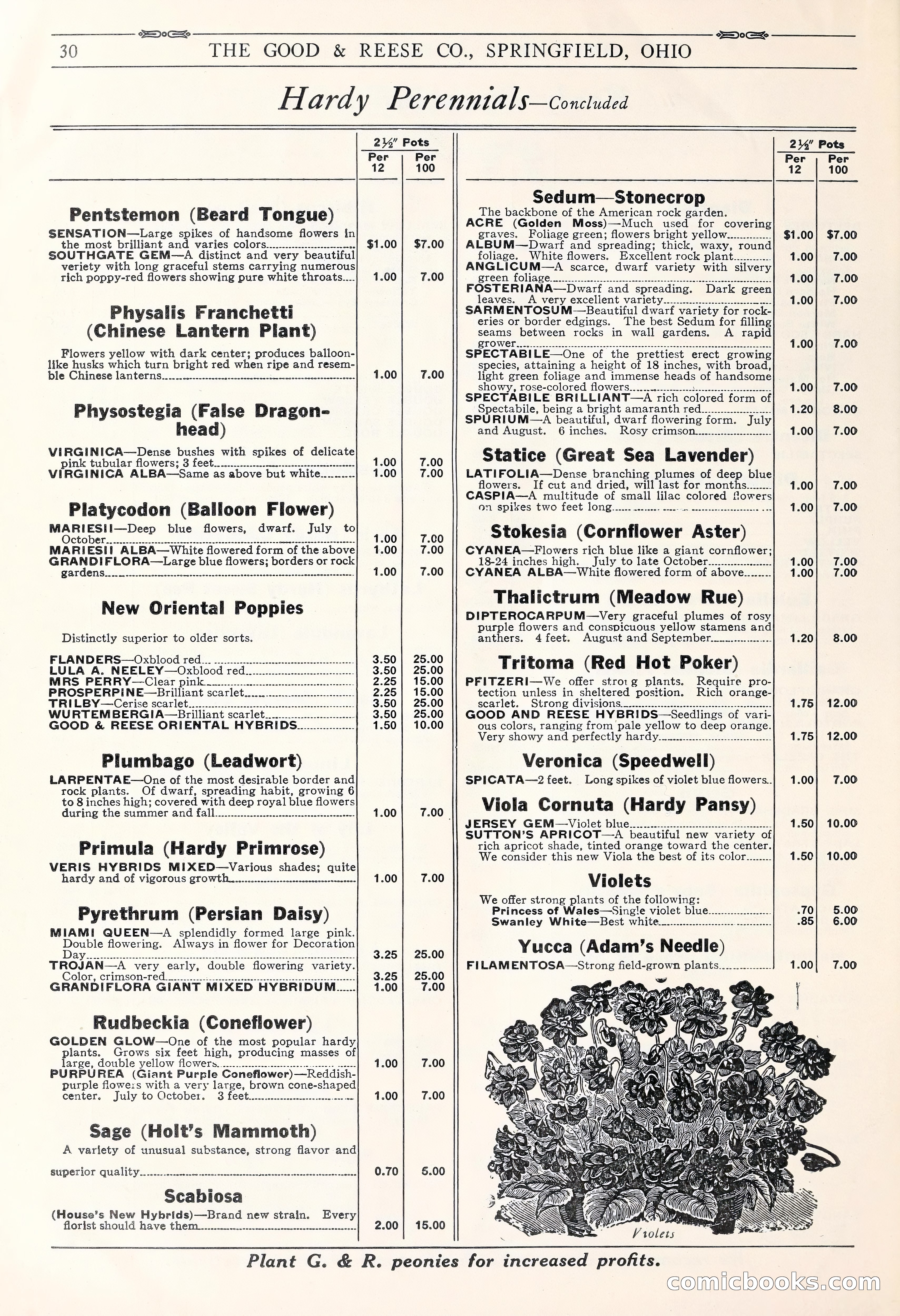 Good & Reese Co.'s Blue Book for Florists: Autumn 1930 — page 36 of 58