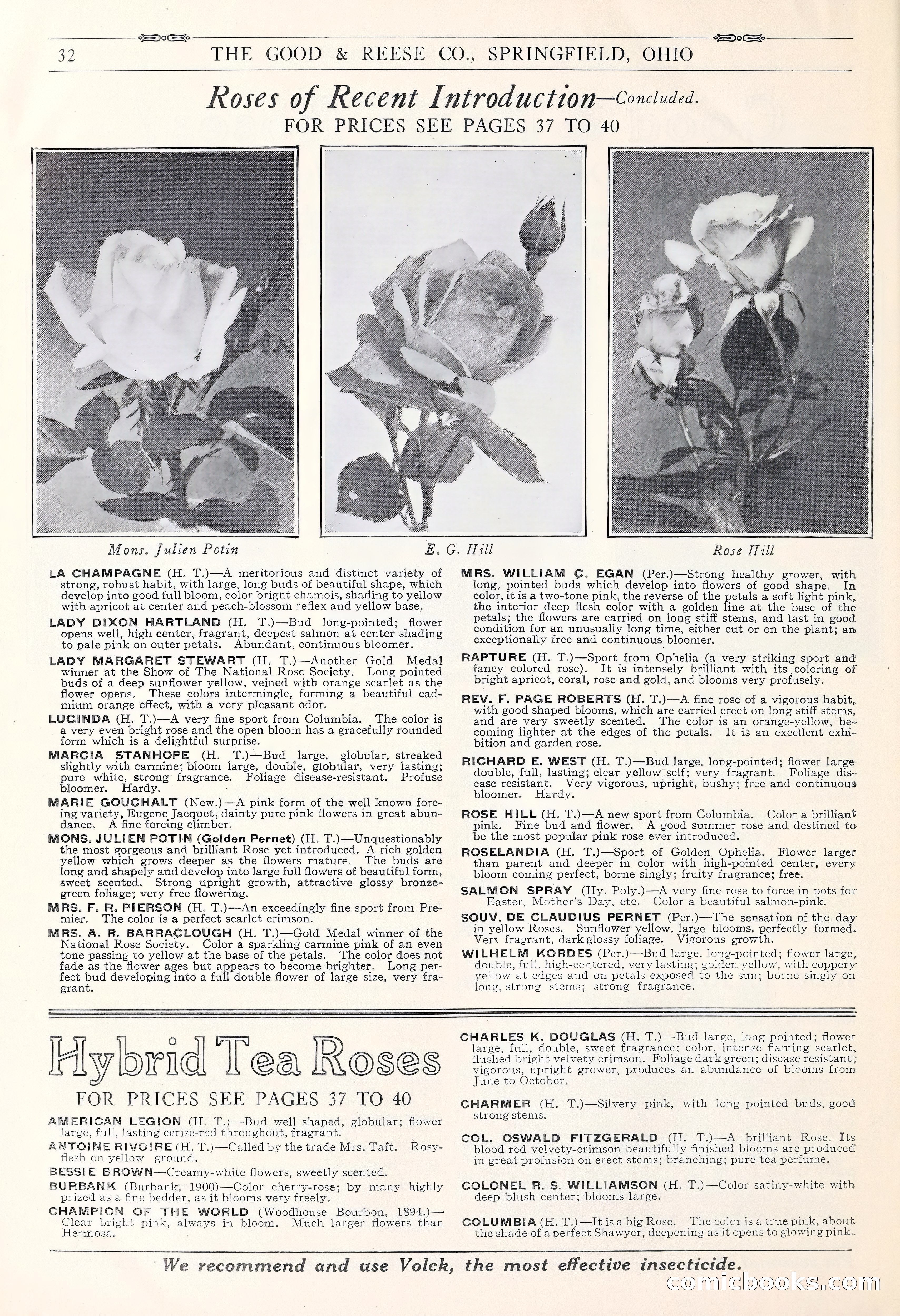 Good & Reese Co.'s Blue Book for Florists: Autumn 1930 — page 38 of 58