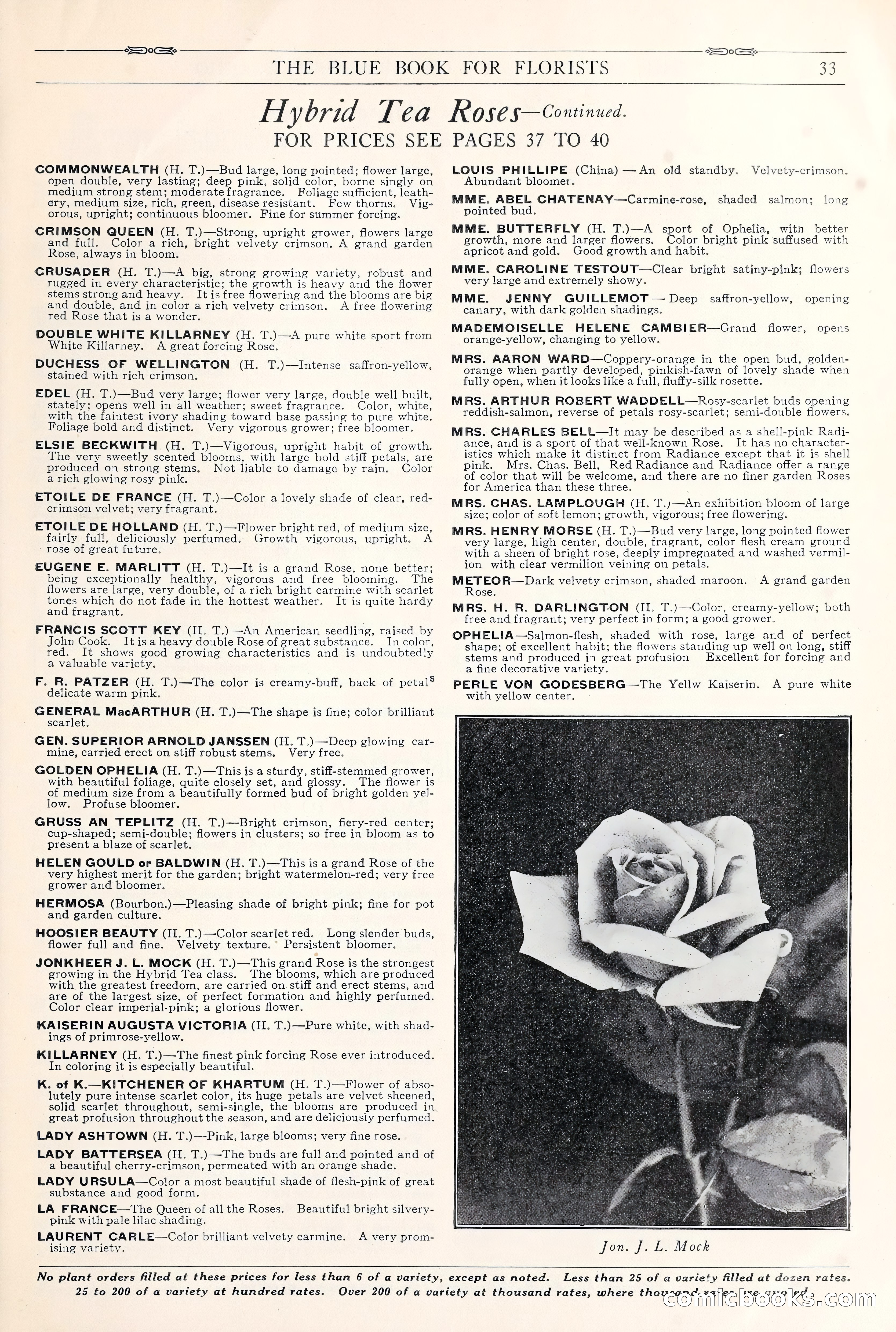 Good & Reese Co.'s Blue Book for Florists: Autumn 1930 — page 39 of 58