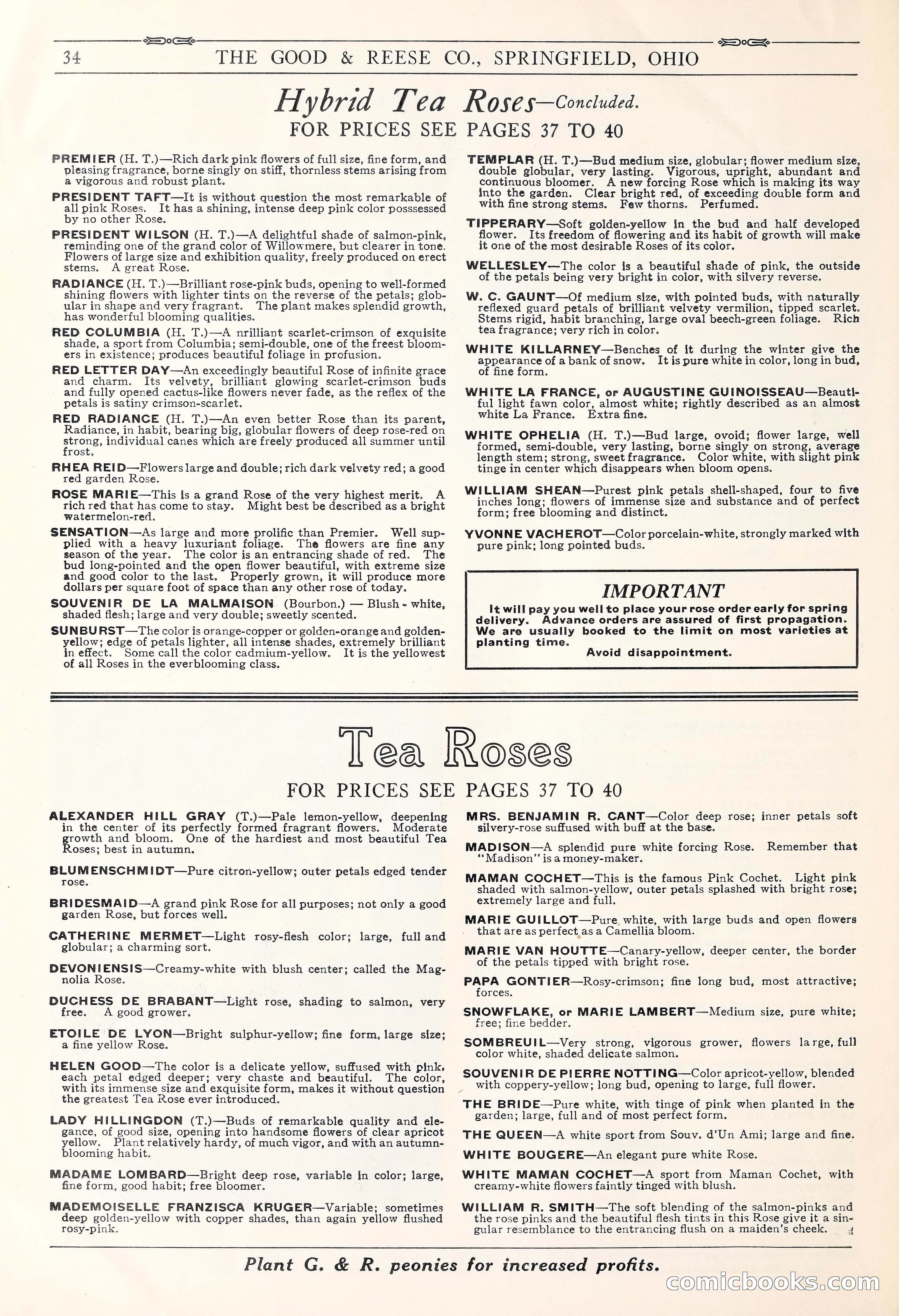 Good & Reese Co.'s Blue Book for Florists: Autumn 1930 — page 40 of 58