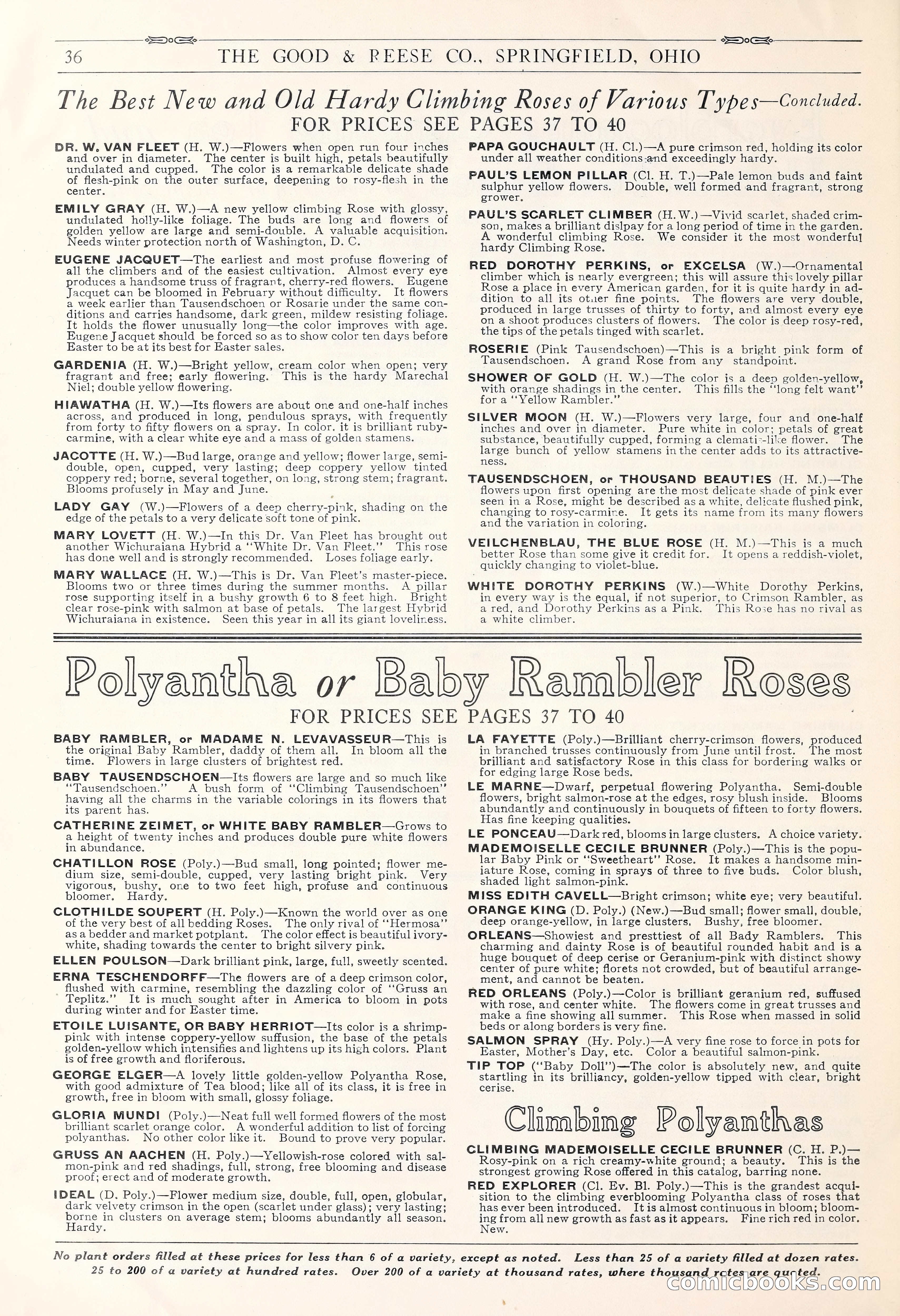 Good & Reese Co.'s Blue Book for Florists: Autumn 1930 — page 42 of 58
