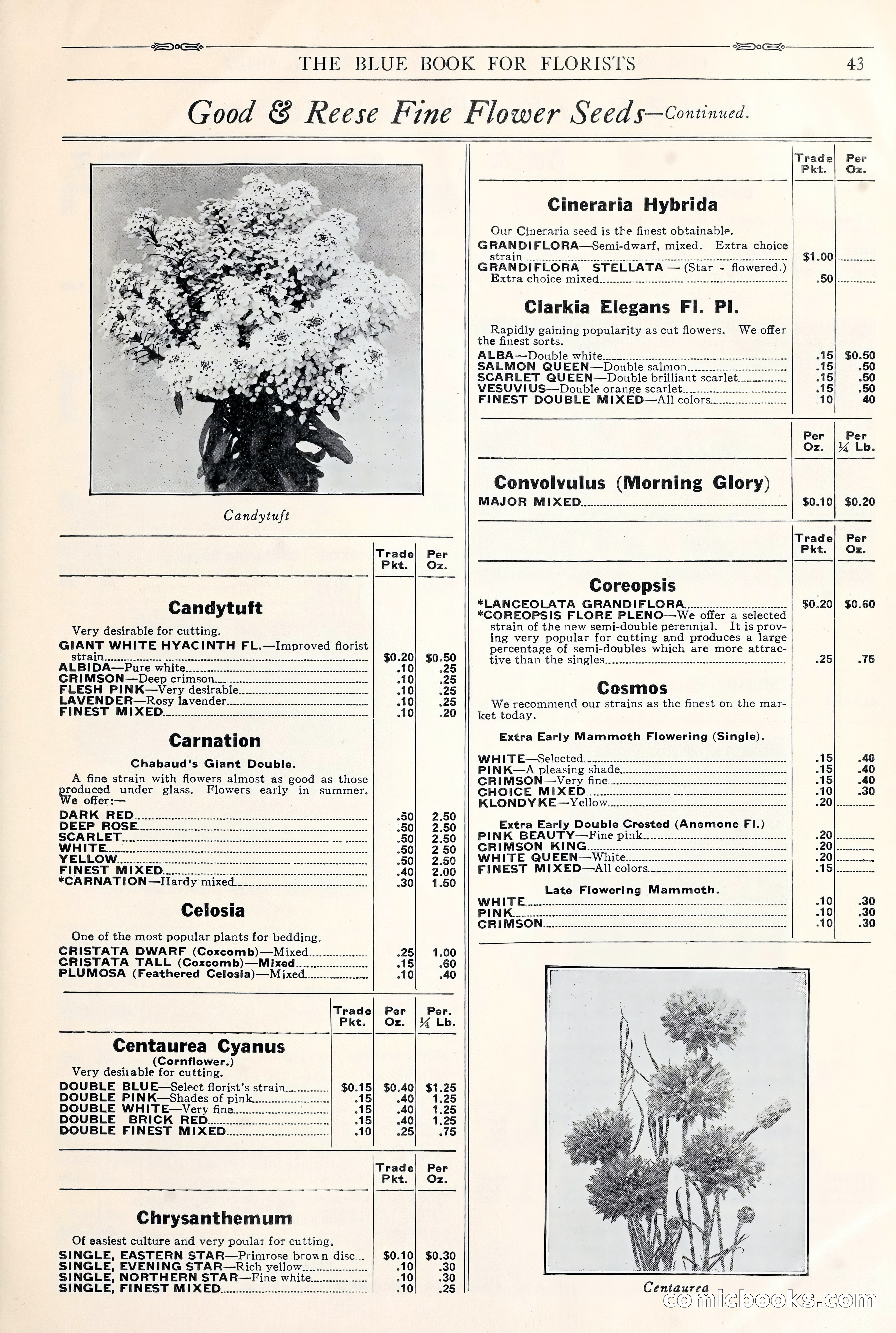 Good & Reese Co.'s Blue Book for Florists: Autumn 1930 — page 49 of 58