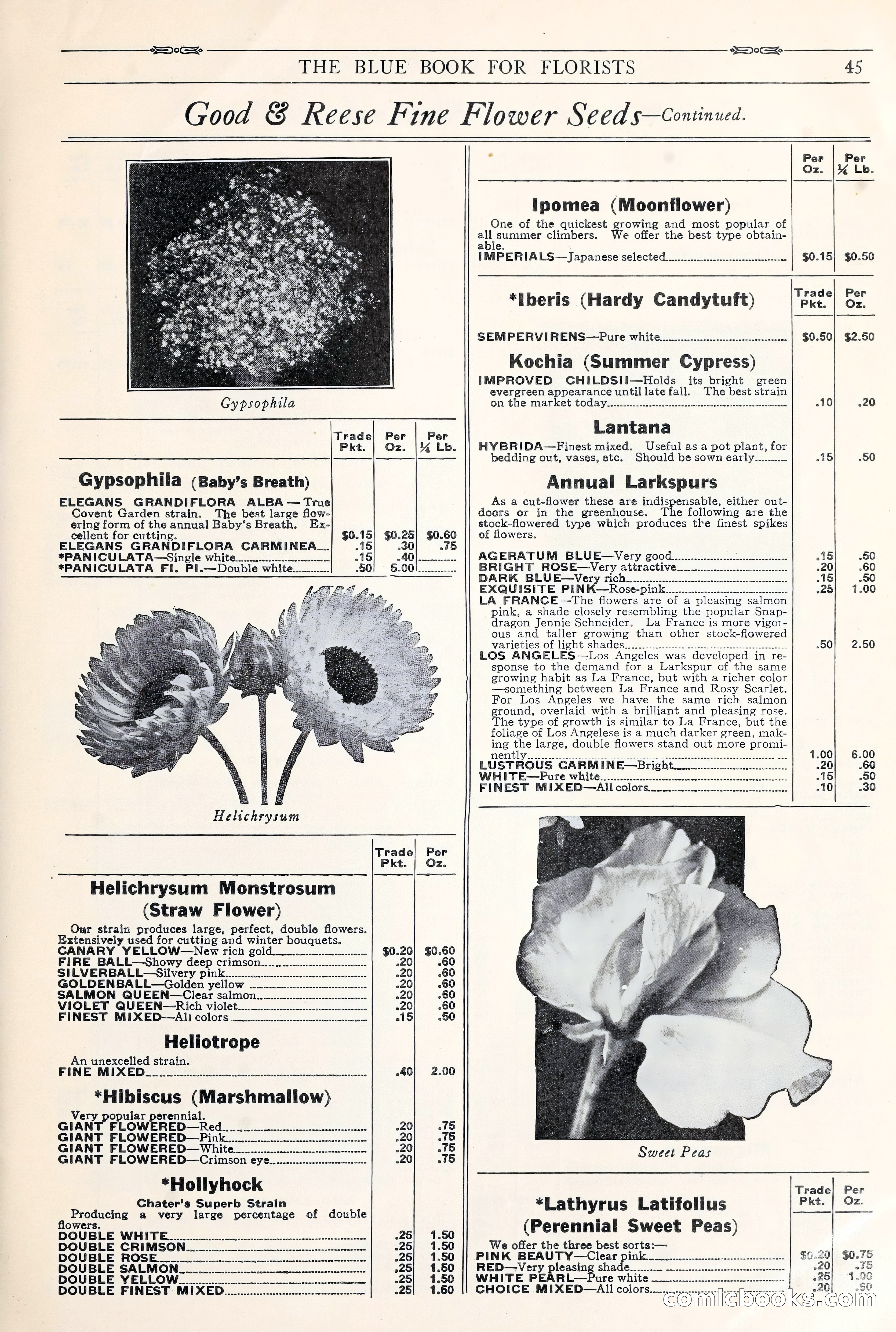 Good & Reese Co.'s Blue Book for Florists: Autumn 1930 — page 51 of 58