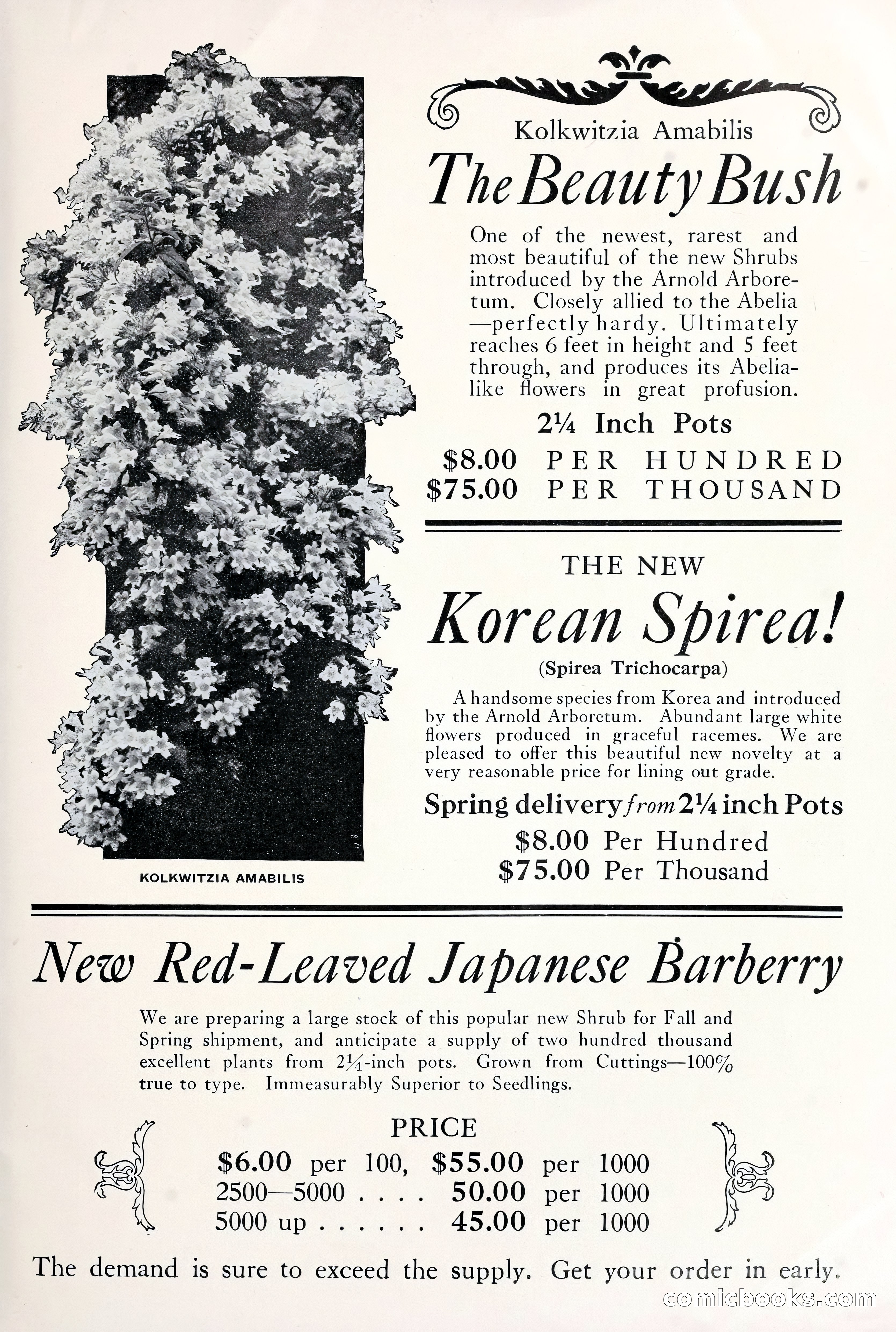 Good & Reese Co.'s Blue Book for Florists: Autumn 1930 — page 55 of 58