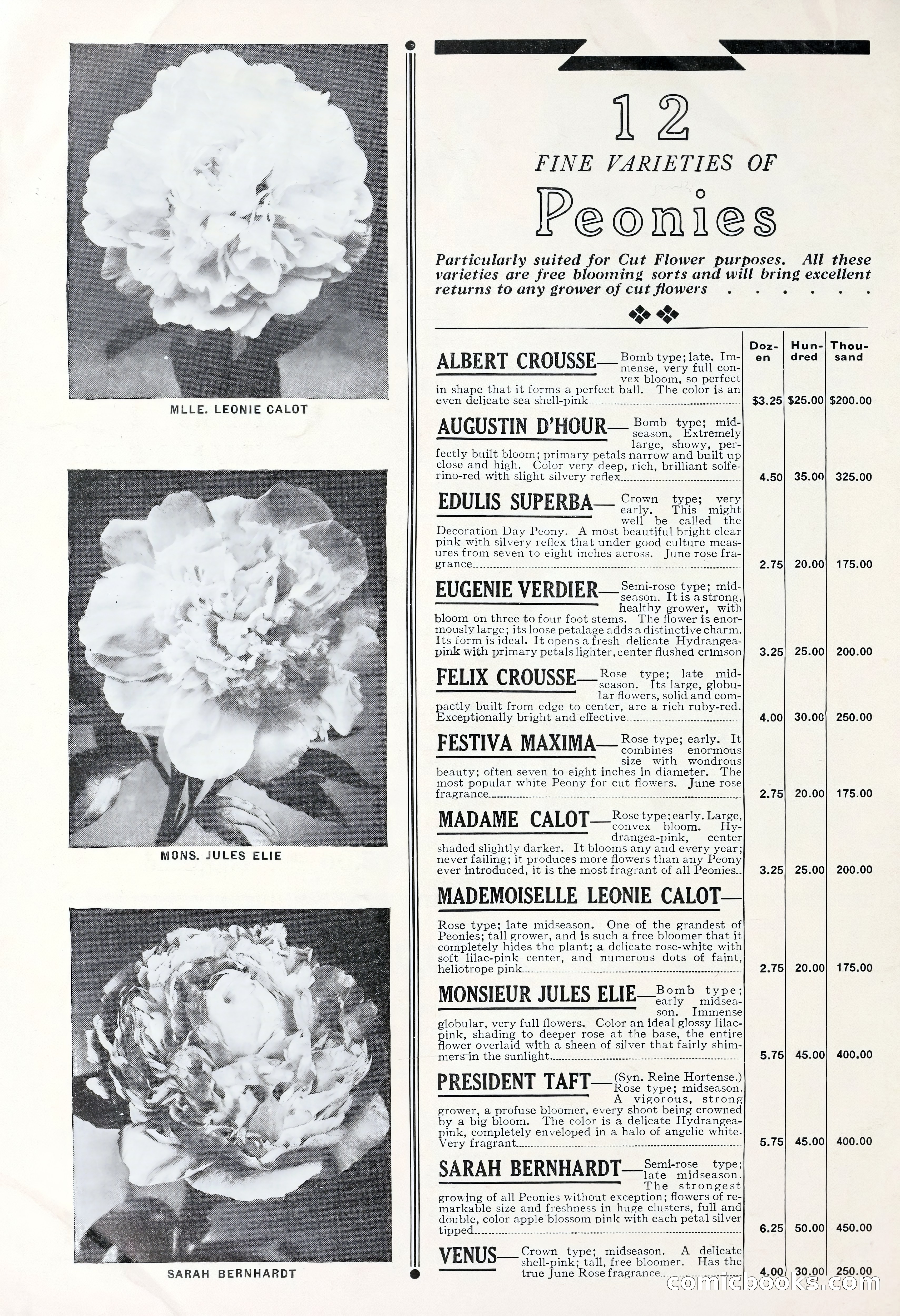 Good & Reese Co.'s Blue Book for Florists: Autumn 1930 — page 56 of 58