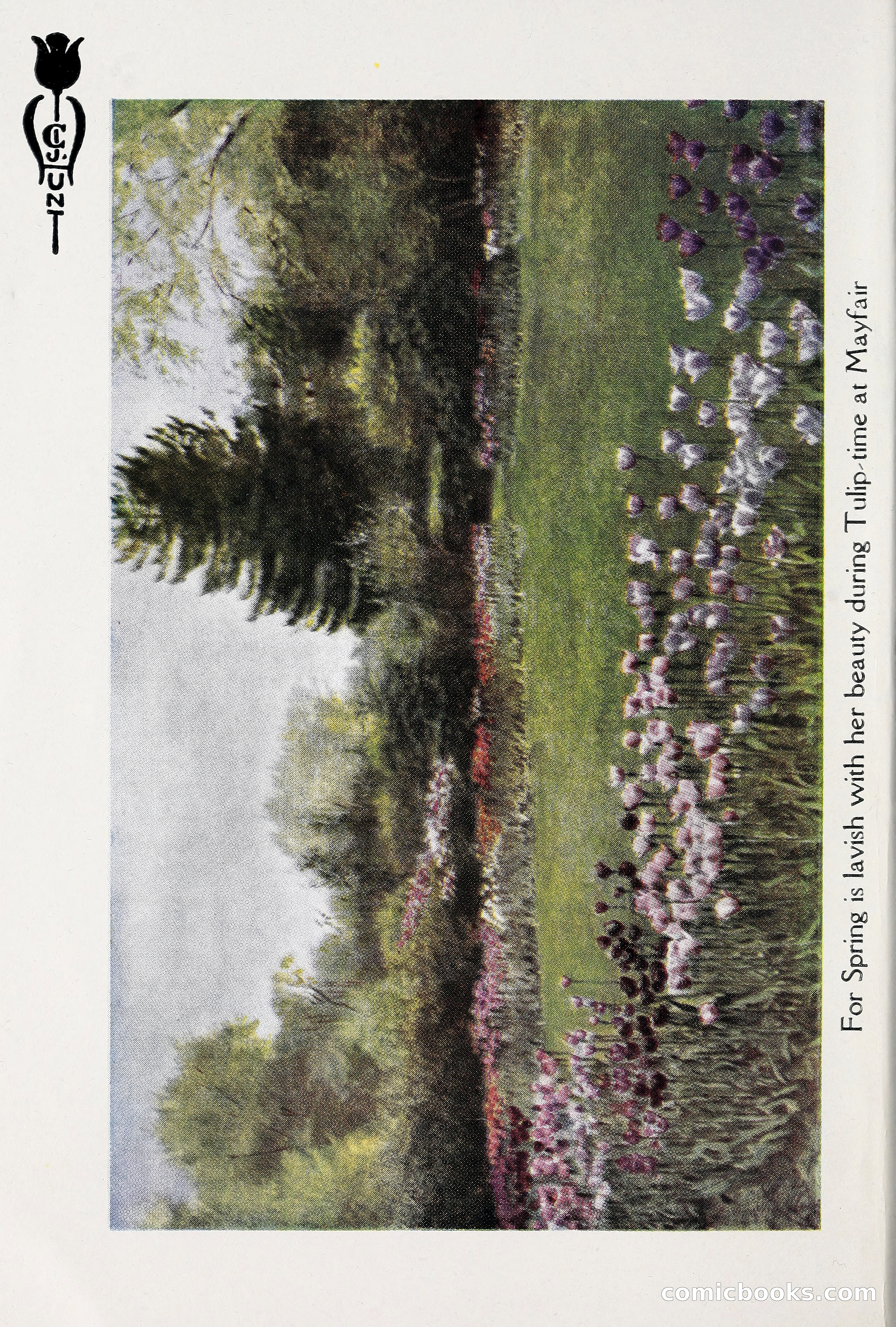 Blue Book of Bulbs, 1930 — page 7 of 140