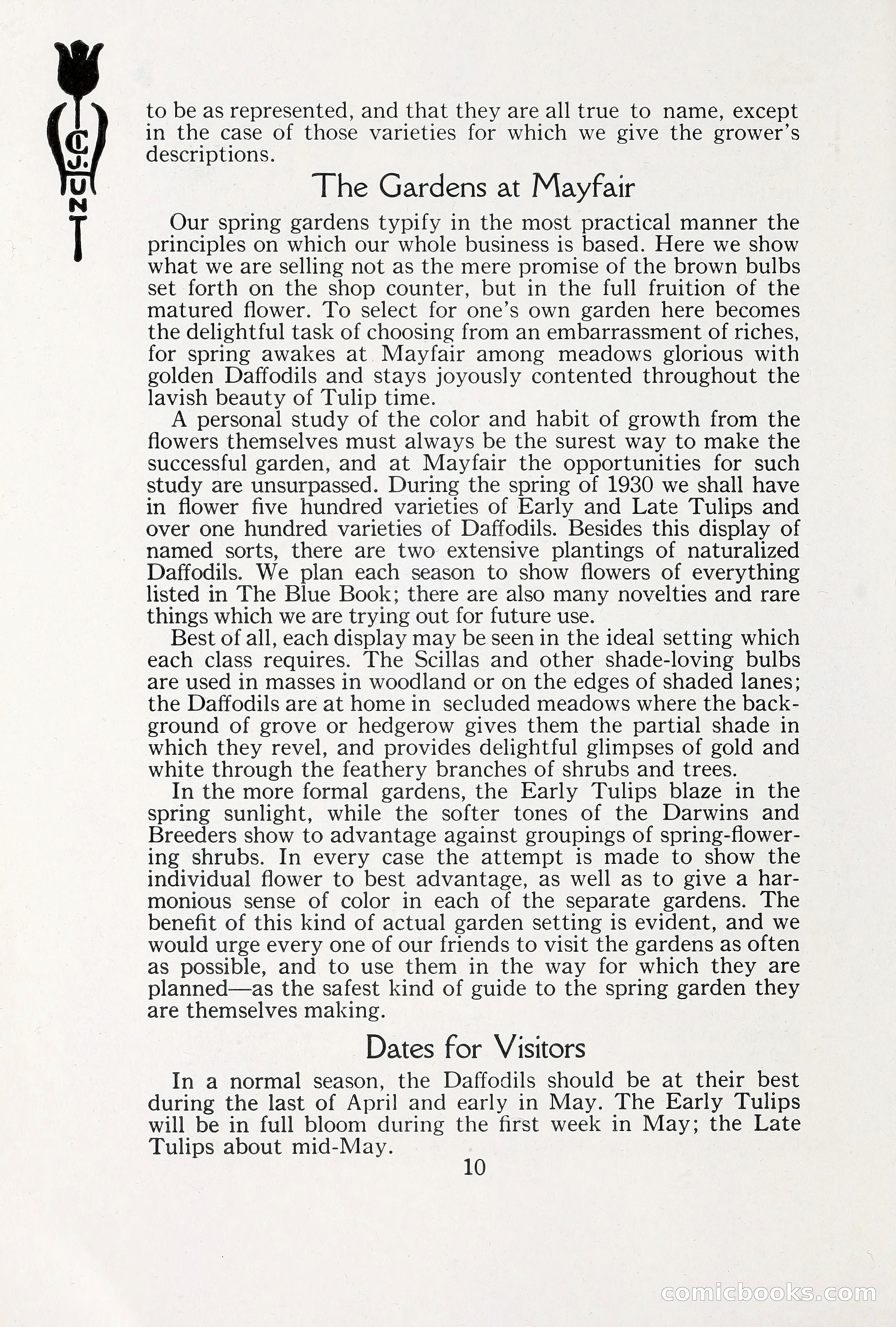 Blue Book of Bulbs, 1930 — page 15 of 140