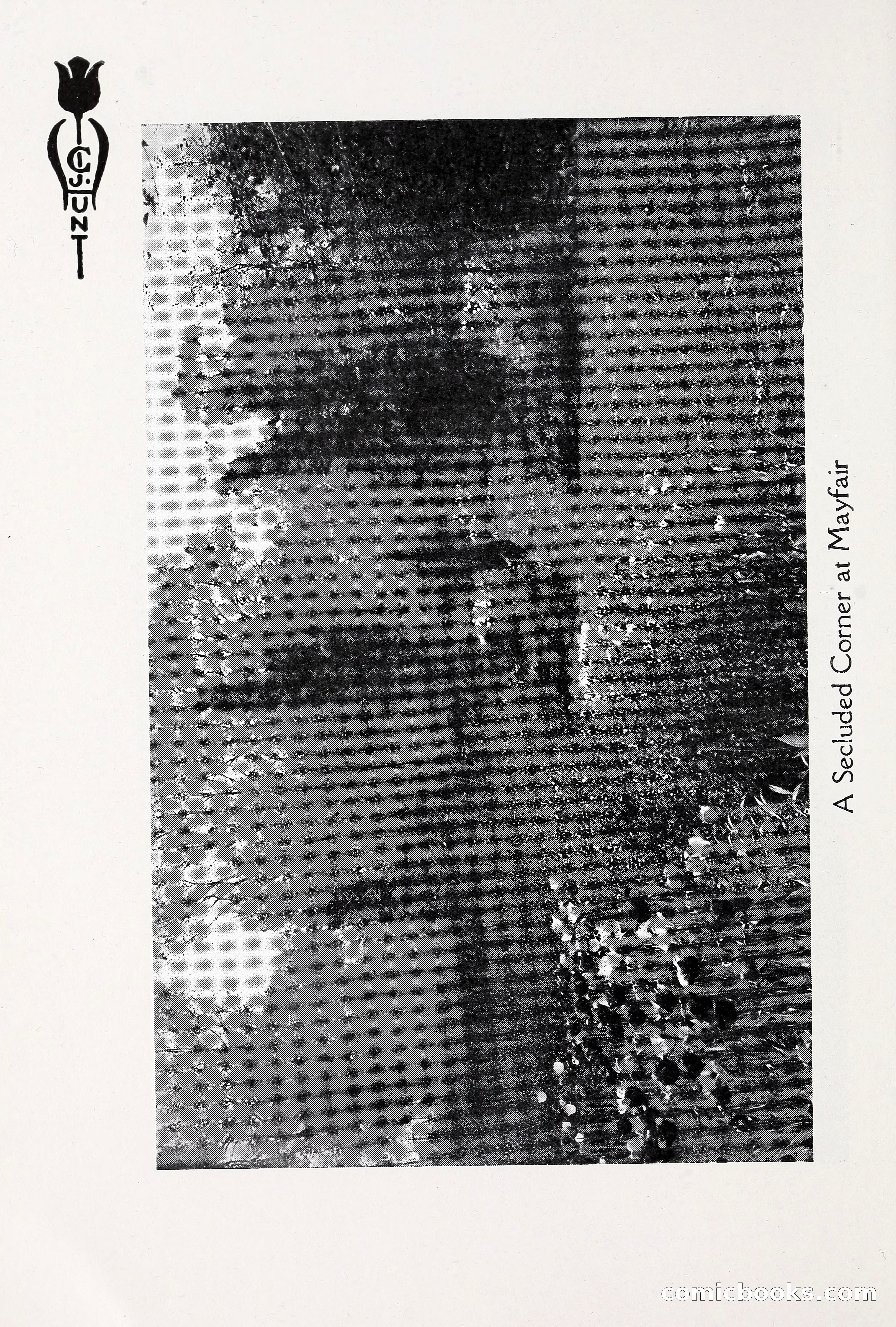 Blue Book of Bulbs, 1930 — page 17 of 140
