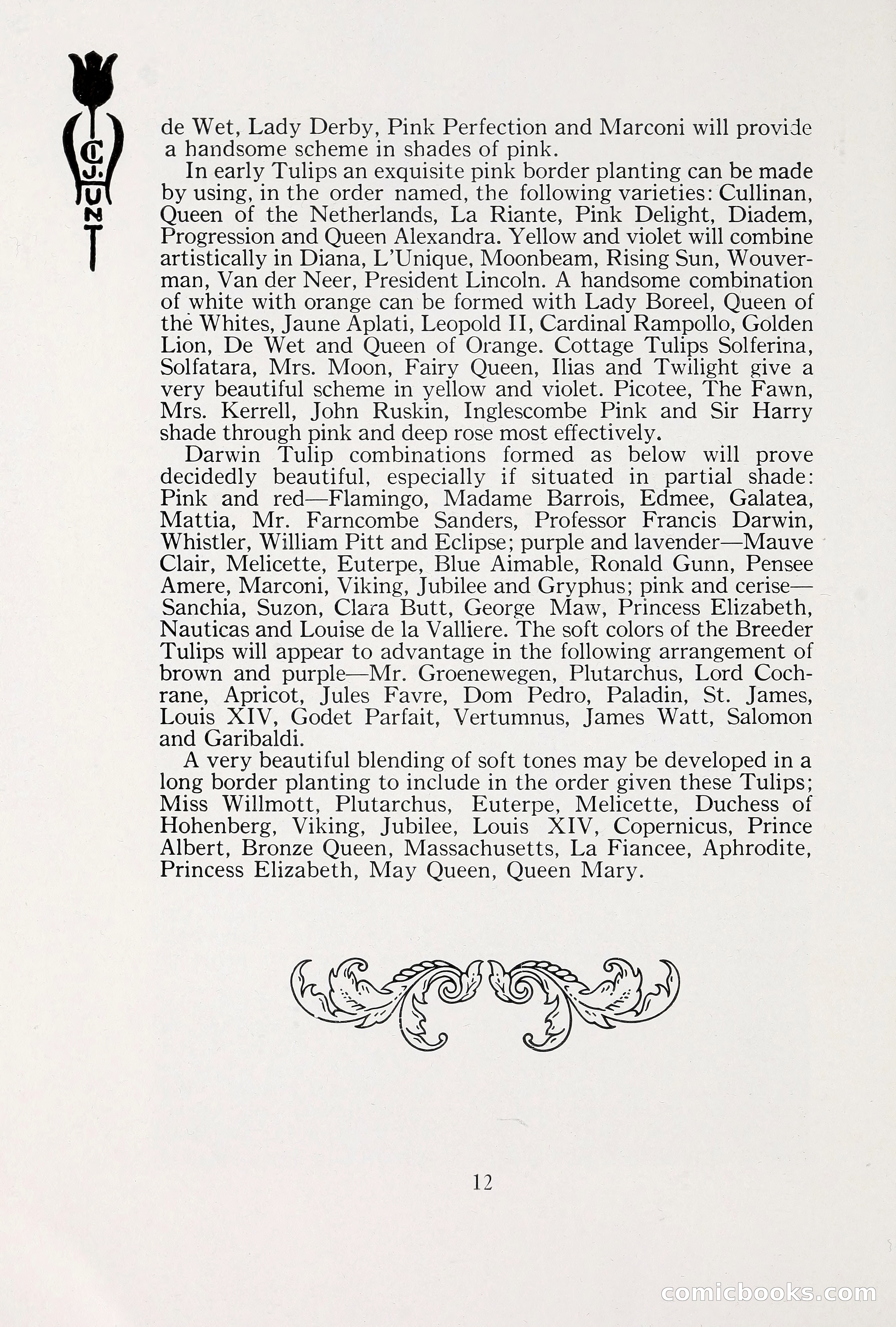Blue Book of Bulbs, 1930 — page 19 of 140