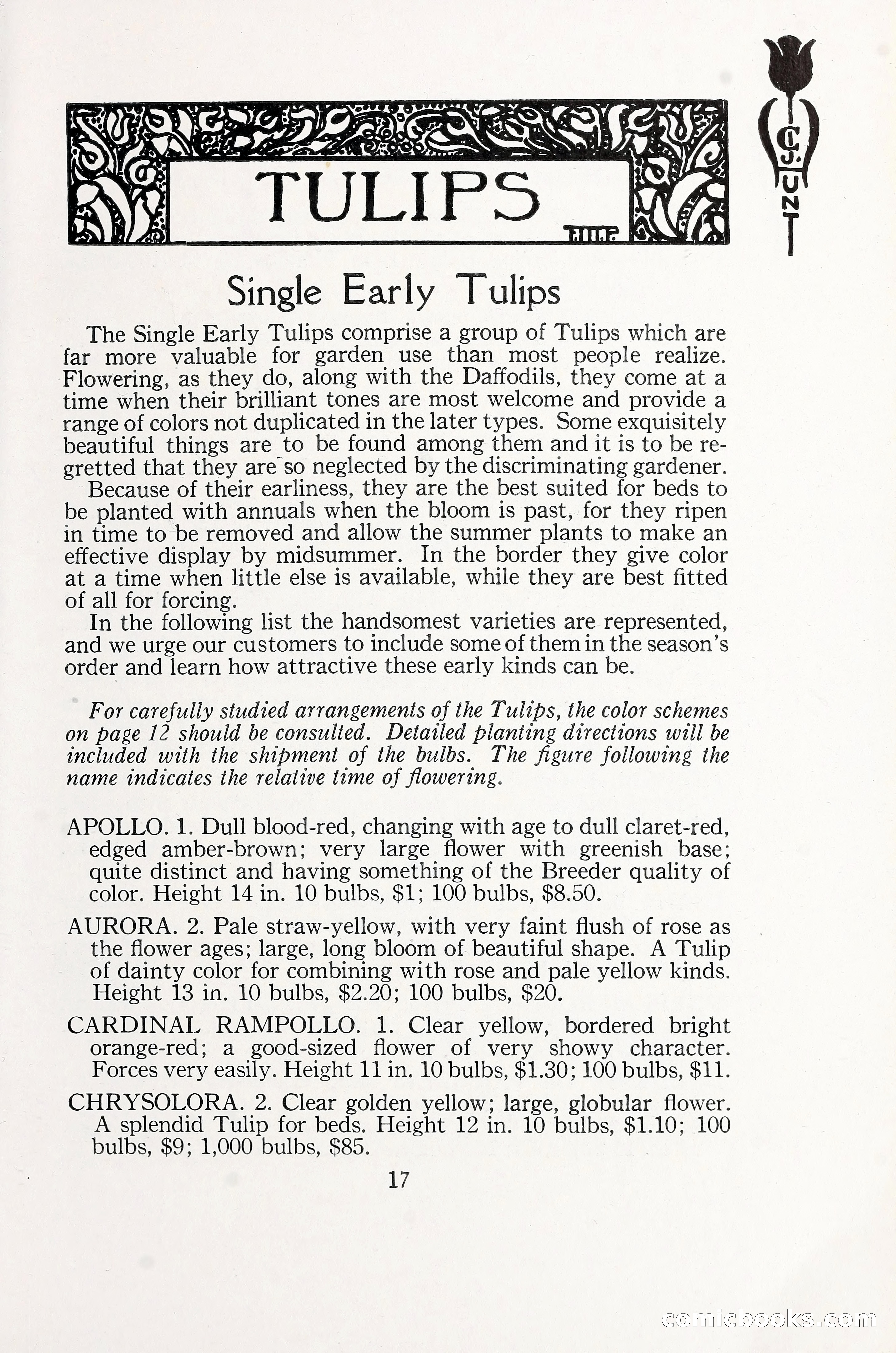 Blue Book of Bulbs, 1930 — page 26 of 140