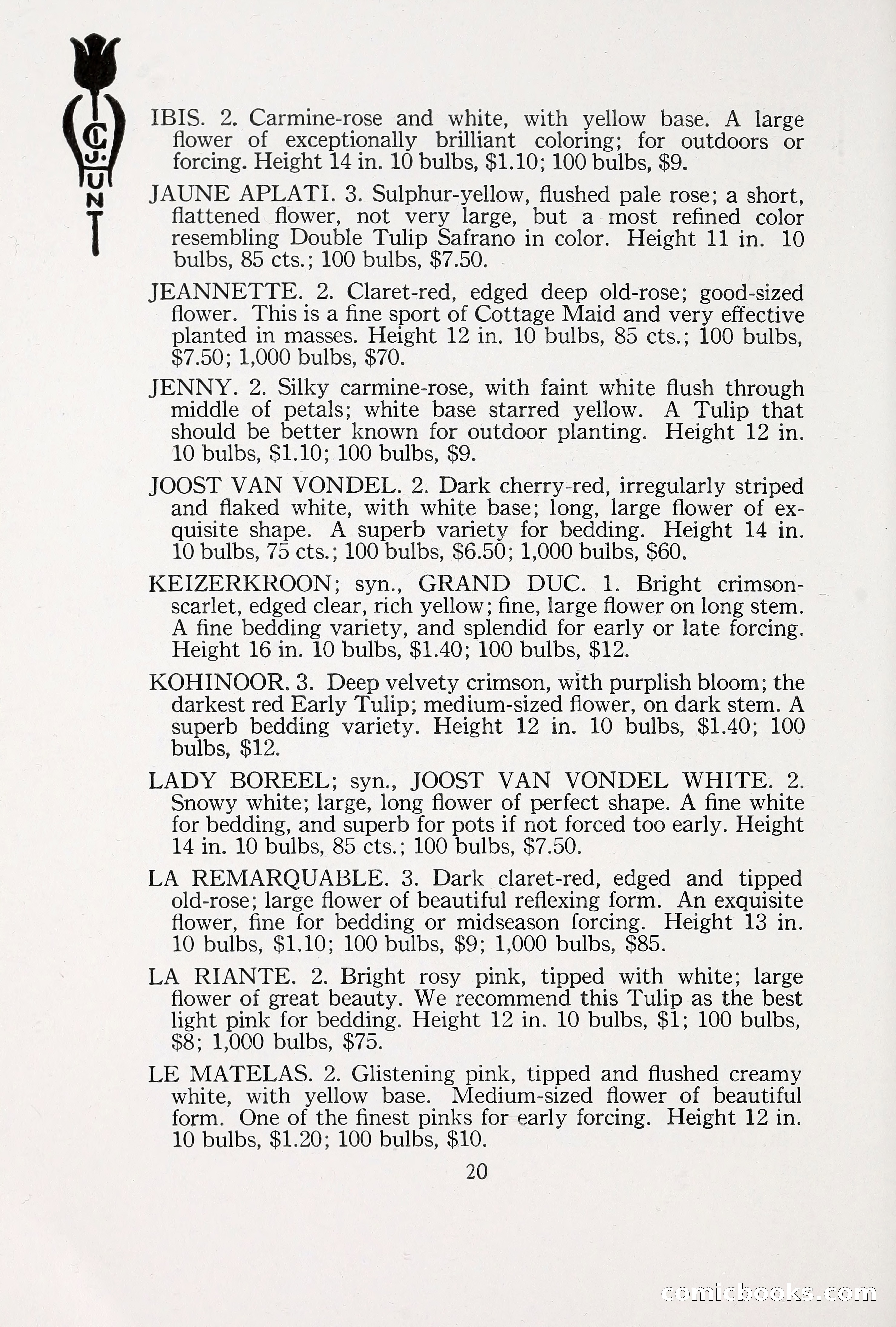 Blue Book of Bulbs, 1930 — page 29 of 140