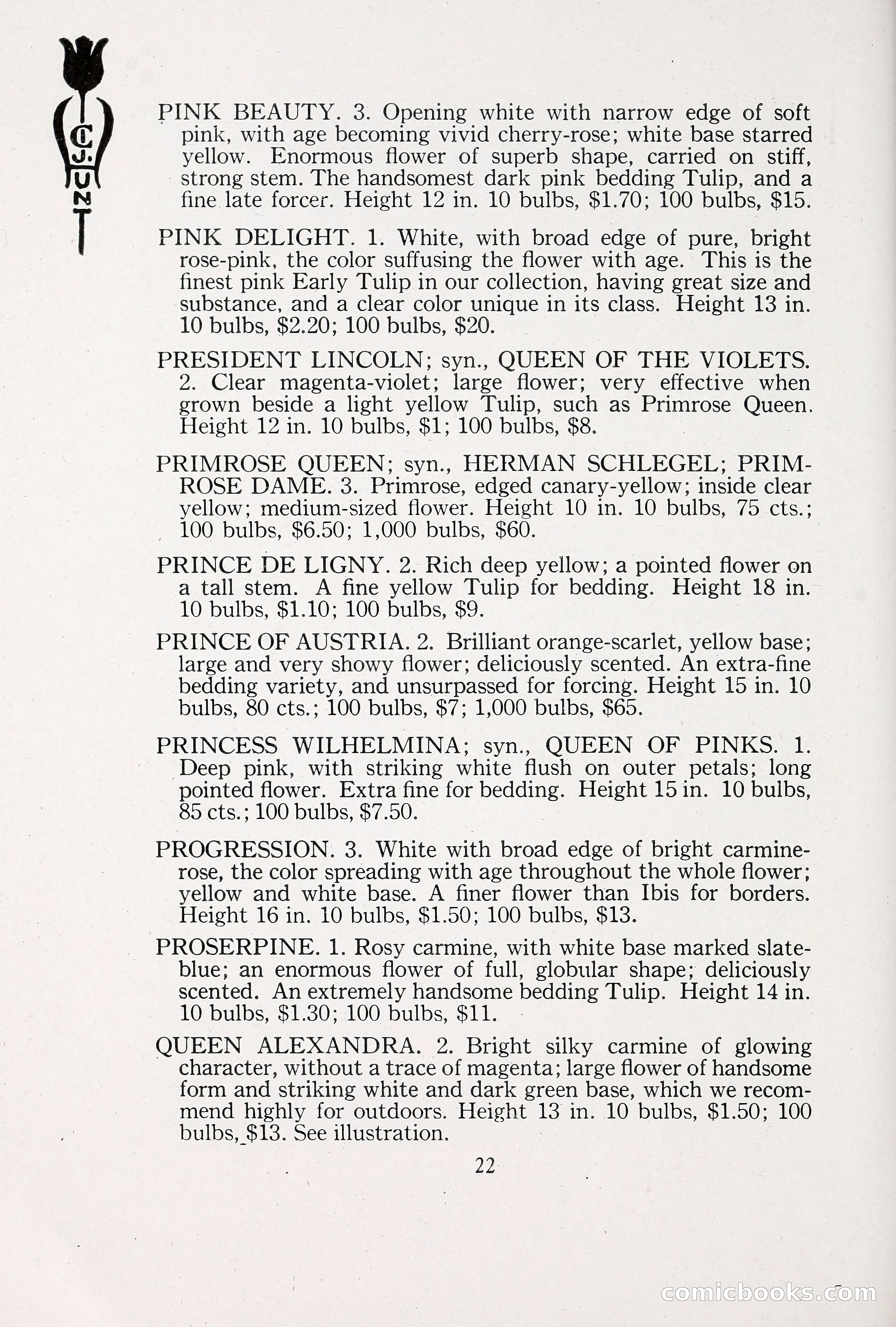 Blue Book of Bulbs, 1930 — page 31 of 140