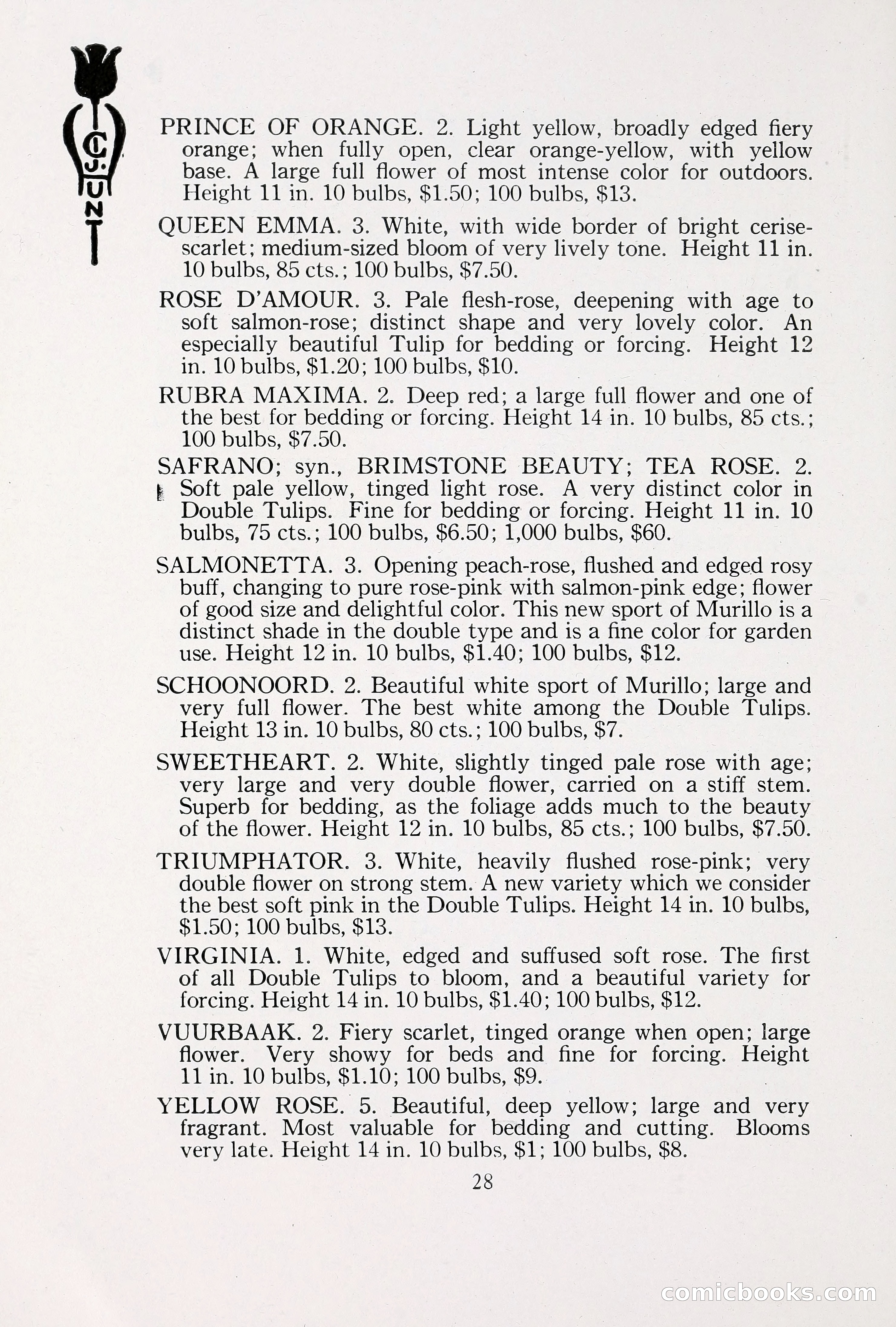 Blue Book of Bulbs, 1930 — page 39 of 140