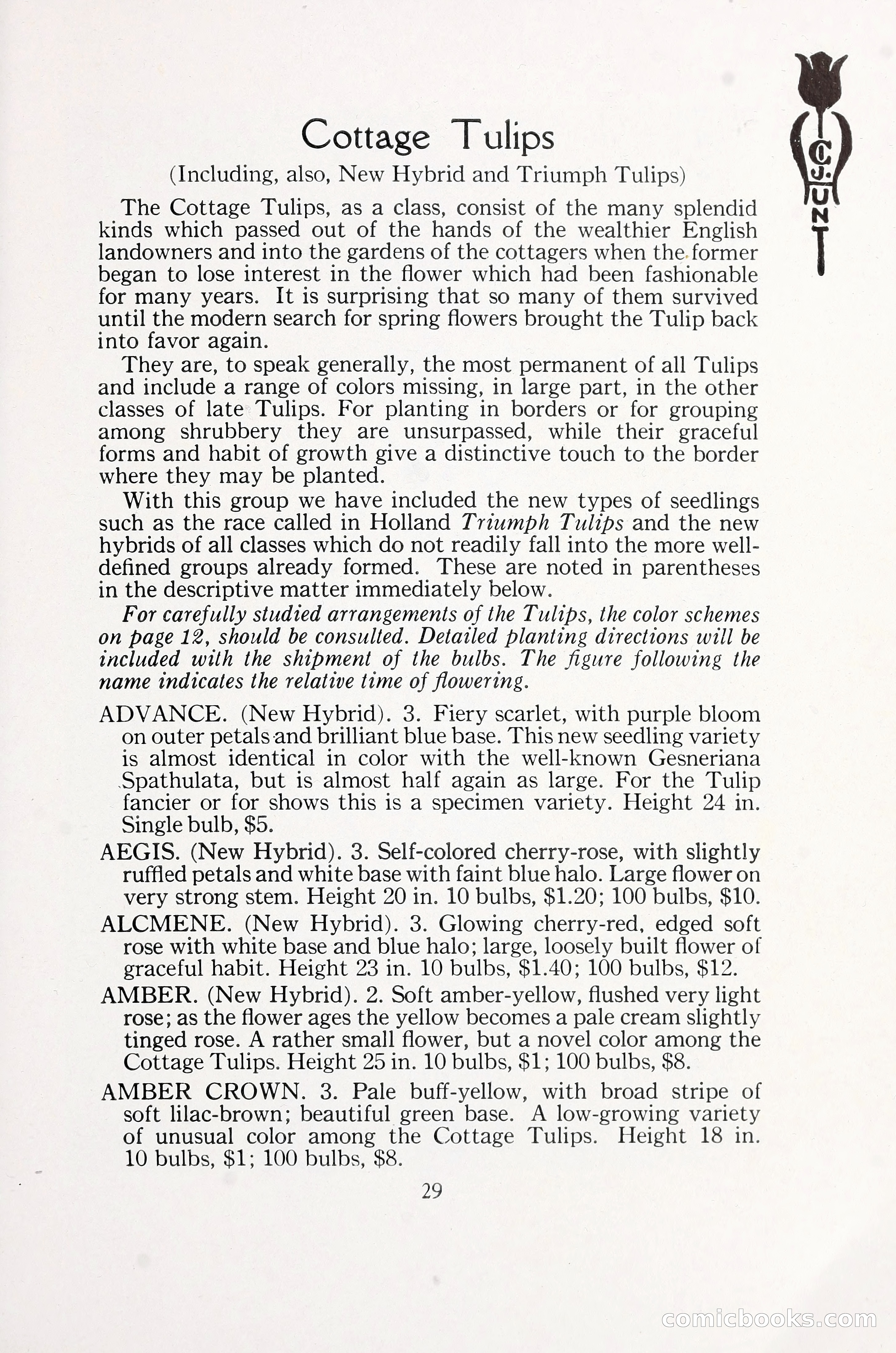 Blue Book of Bulbs, 1930 — page 40 of 140