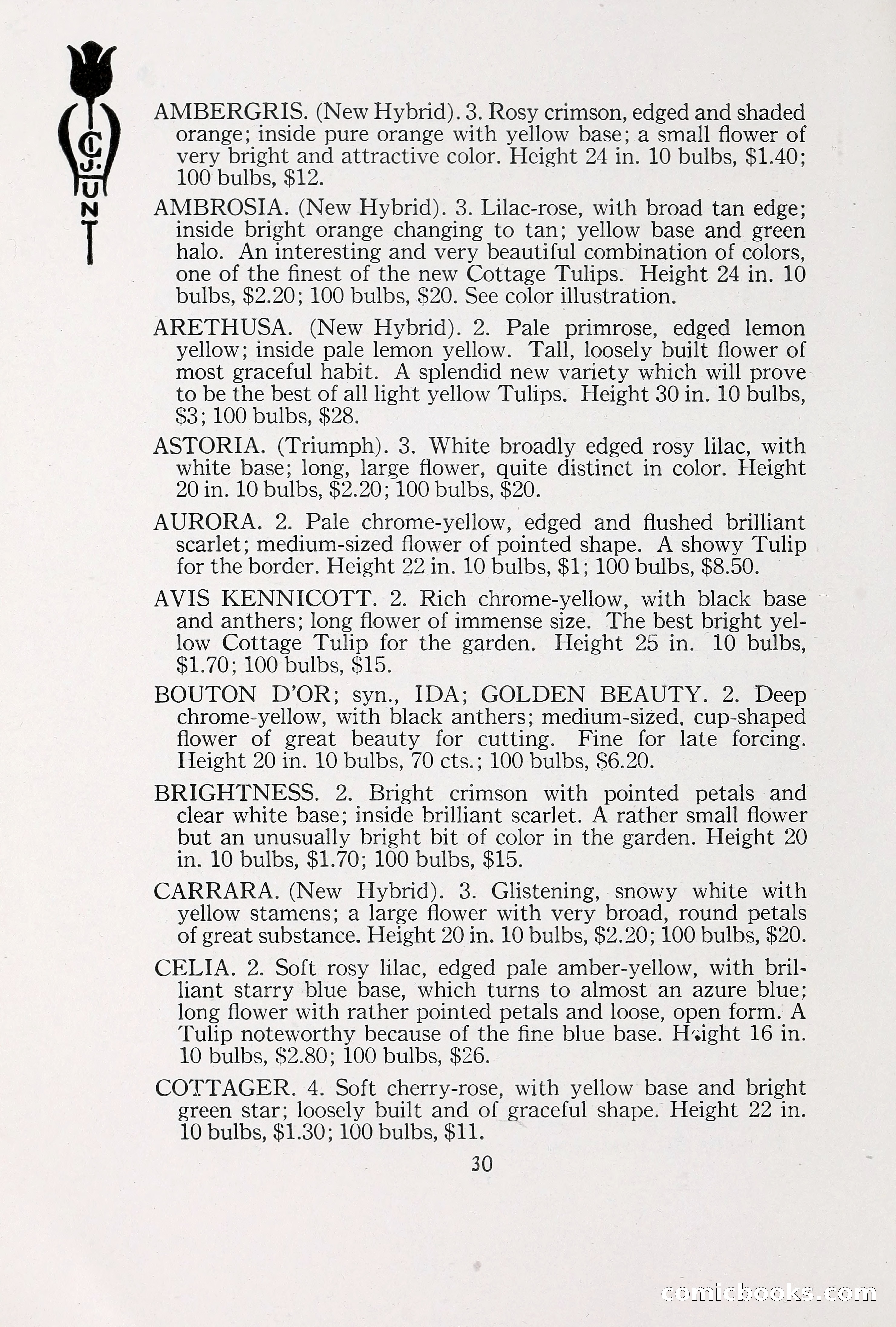 Blue Book of Bulbs, 1930 — page 41 of 140