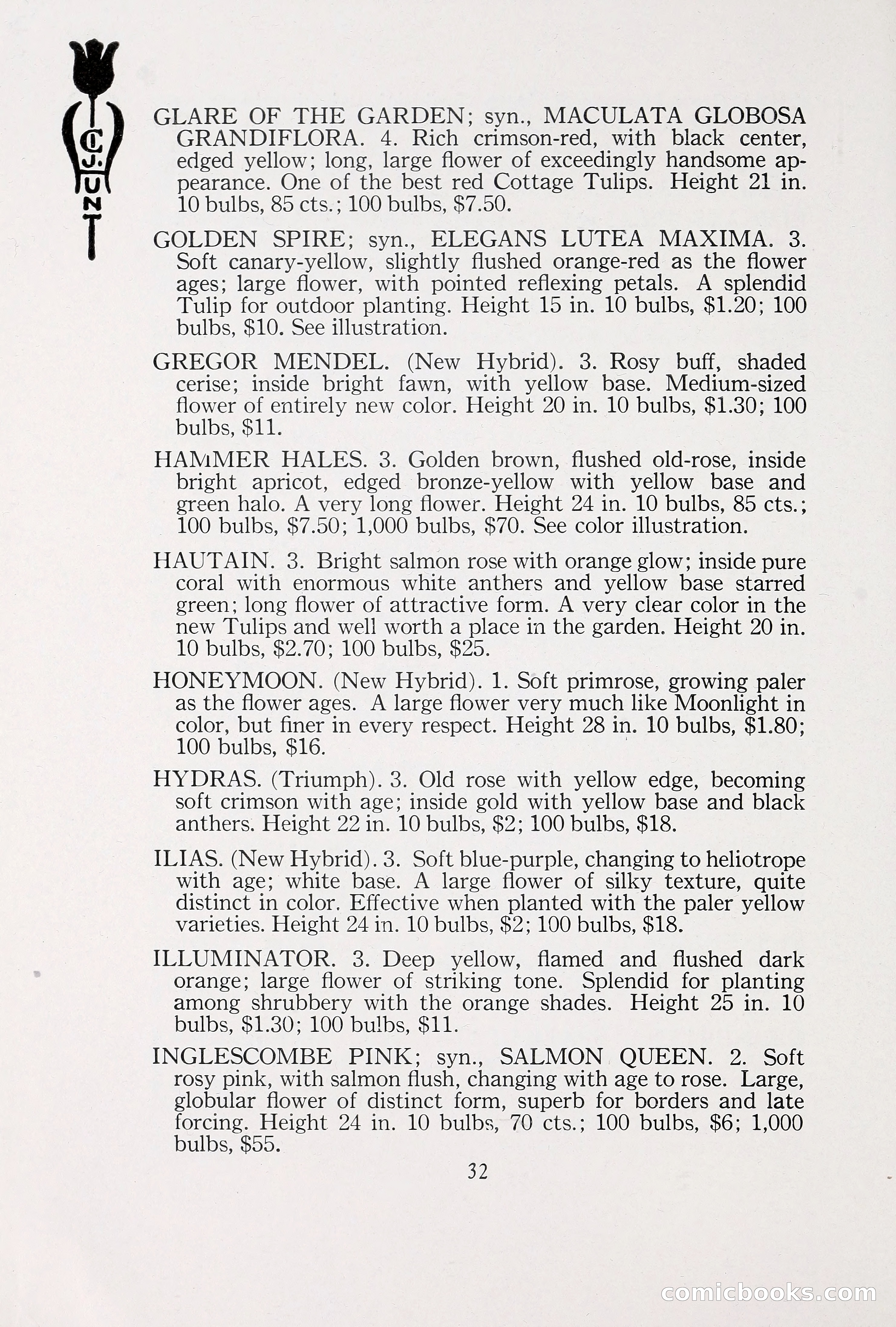 Blue Book of Bulbs, 1930 — page 45 of 140