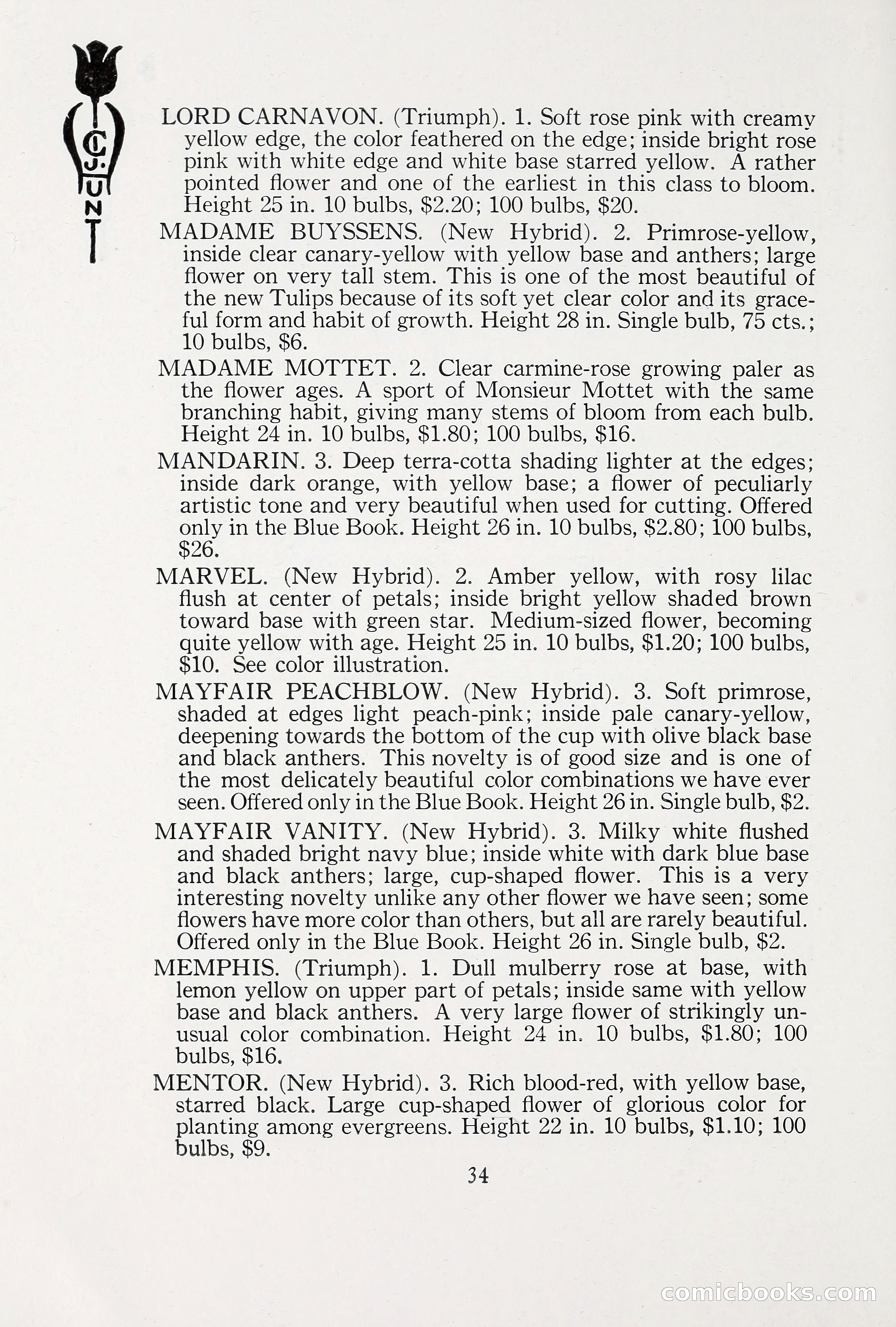 Blue Book of Bulbs, 1930 — page 47 of 140