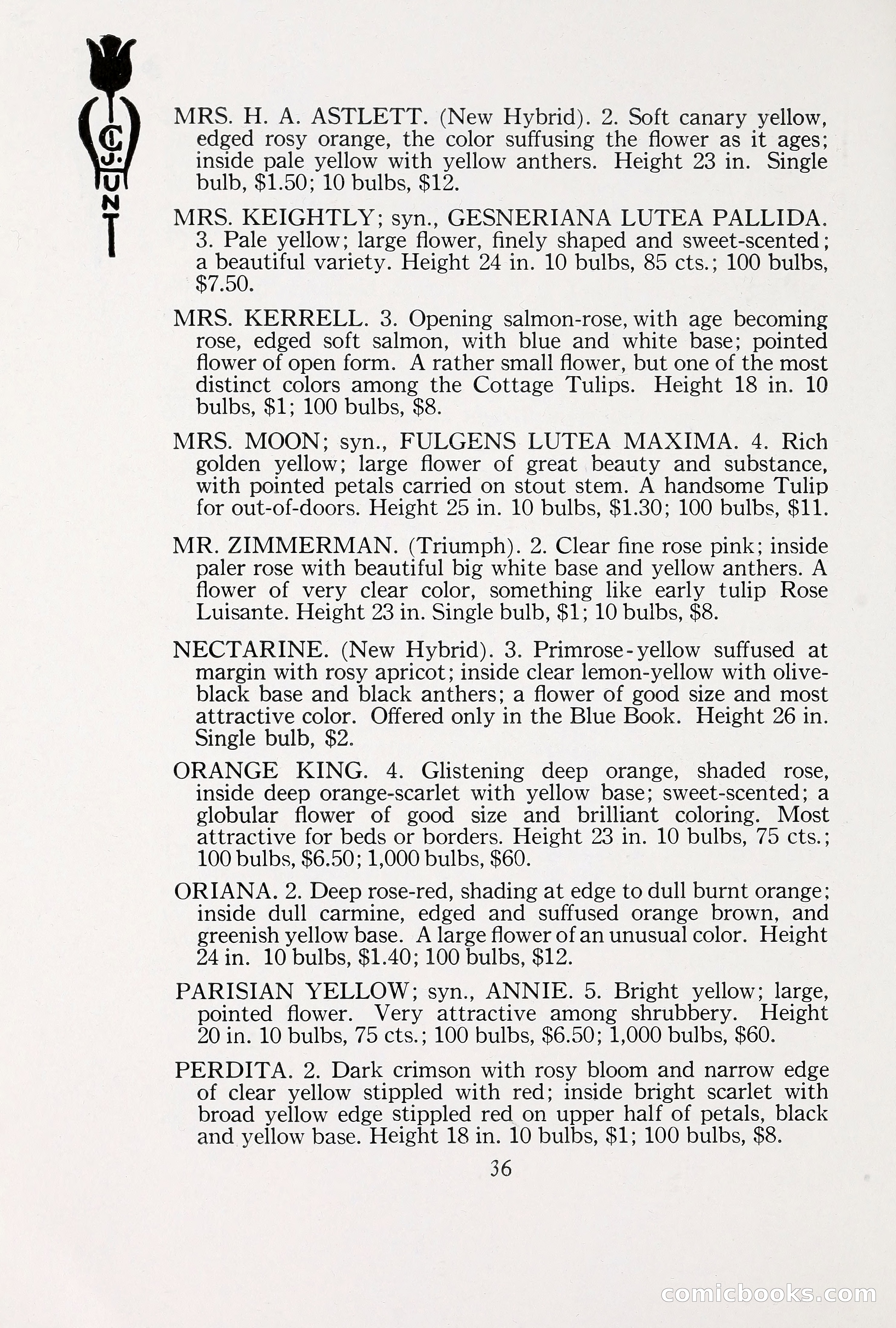 Blue Book of Bulbs, 1930 — page 49 of 140