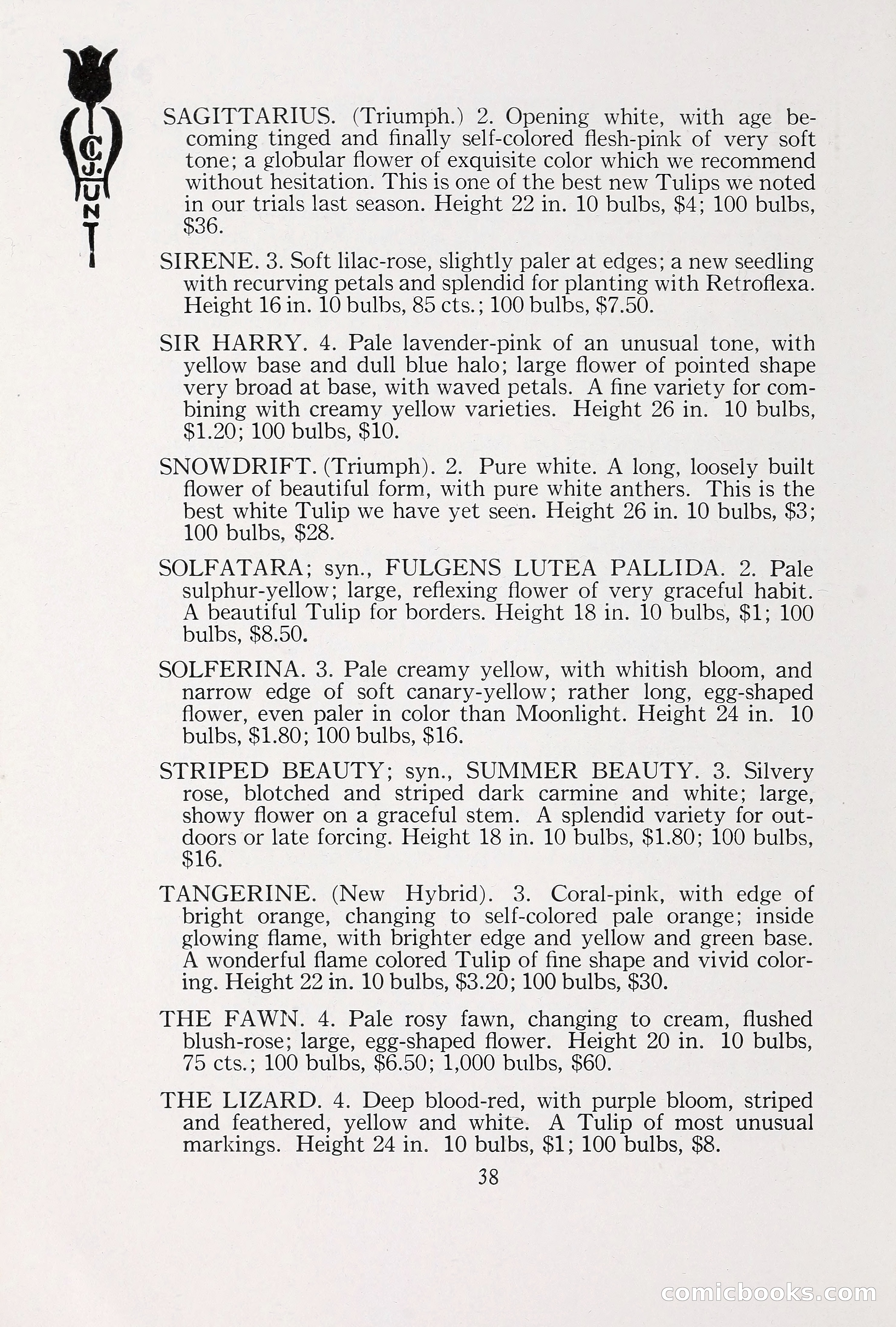 Blue Book of Bulbs, 1930 — page 51 of 140