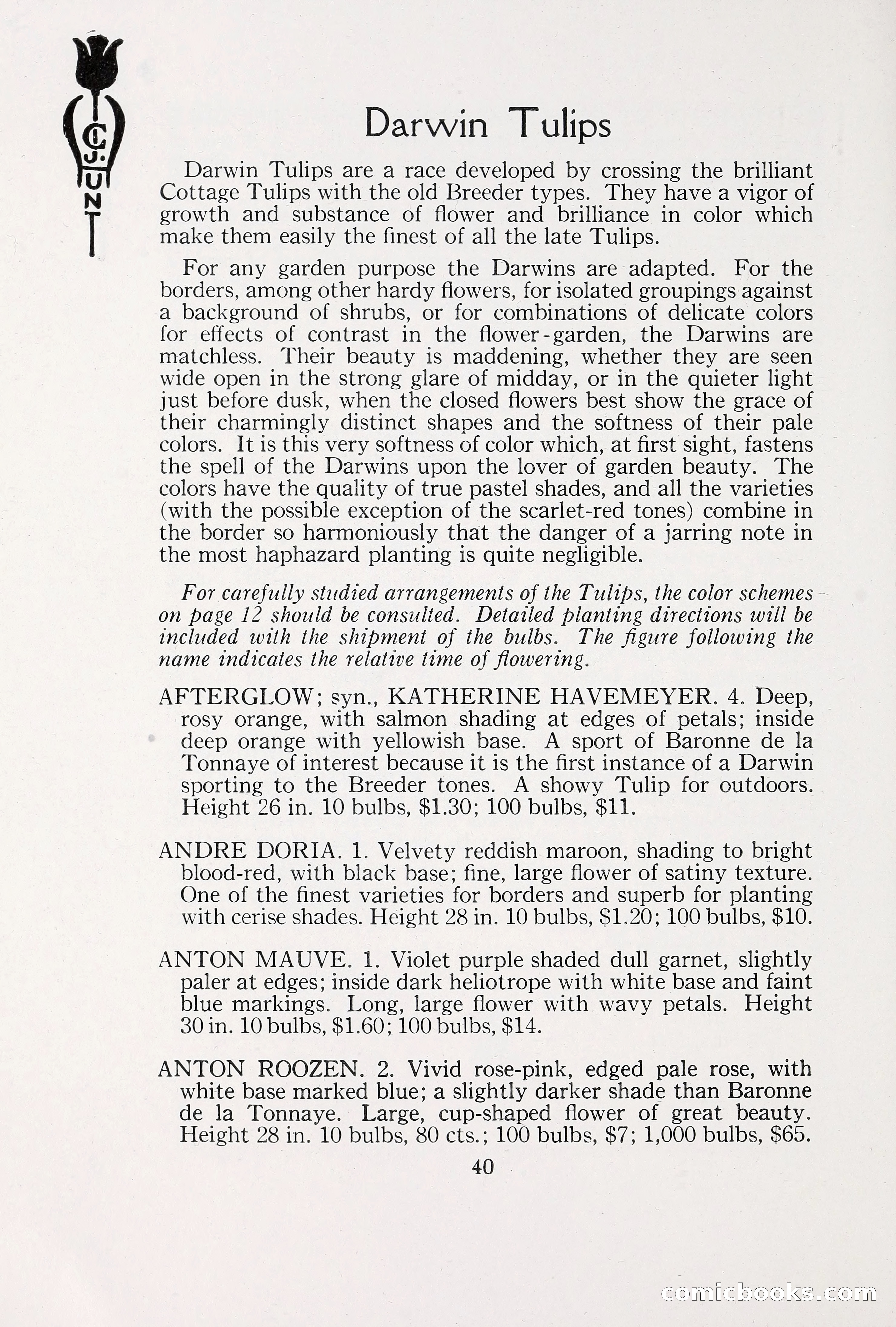 Blue Book of Bulbs, 1930 — page 55 of 140