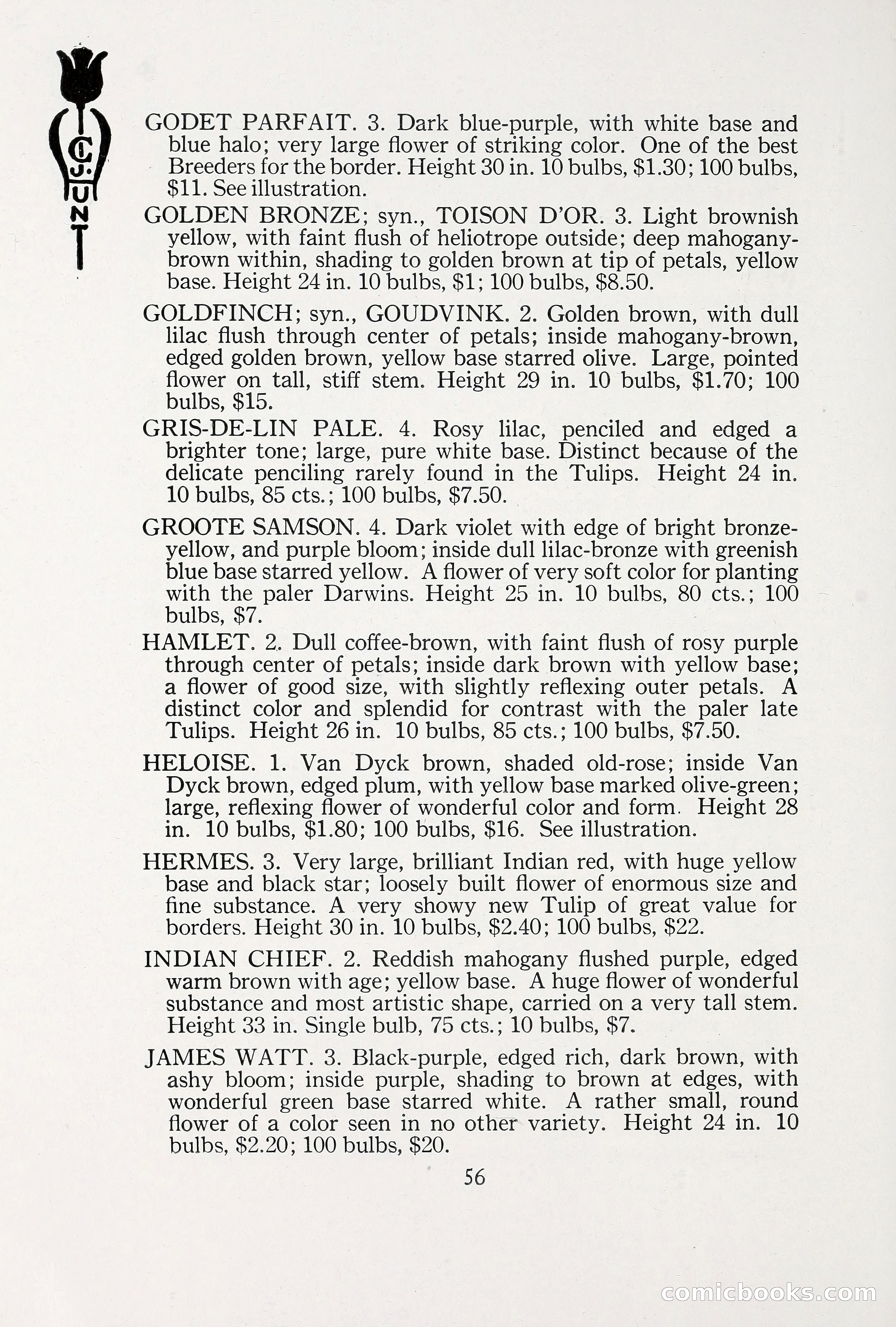 Blue Book of Bulbs, 1930 — page 77 of 140