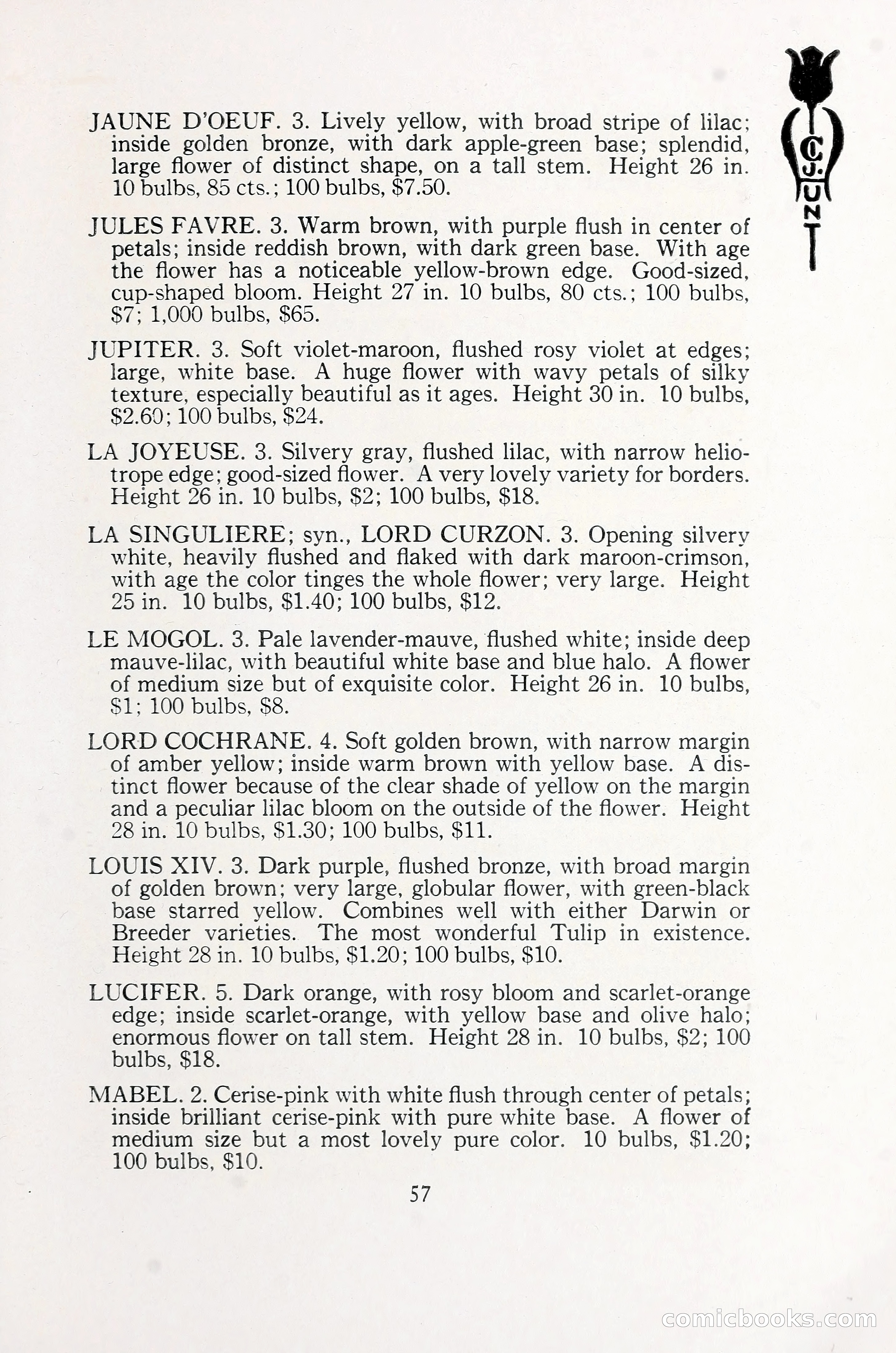 Blue Book of Bulbs, 1930 — page 82 of 140