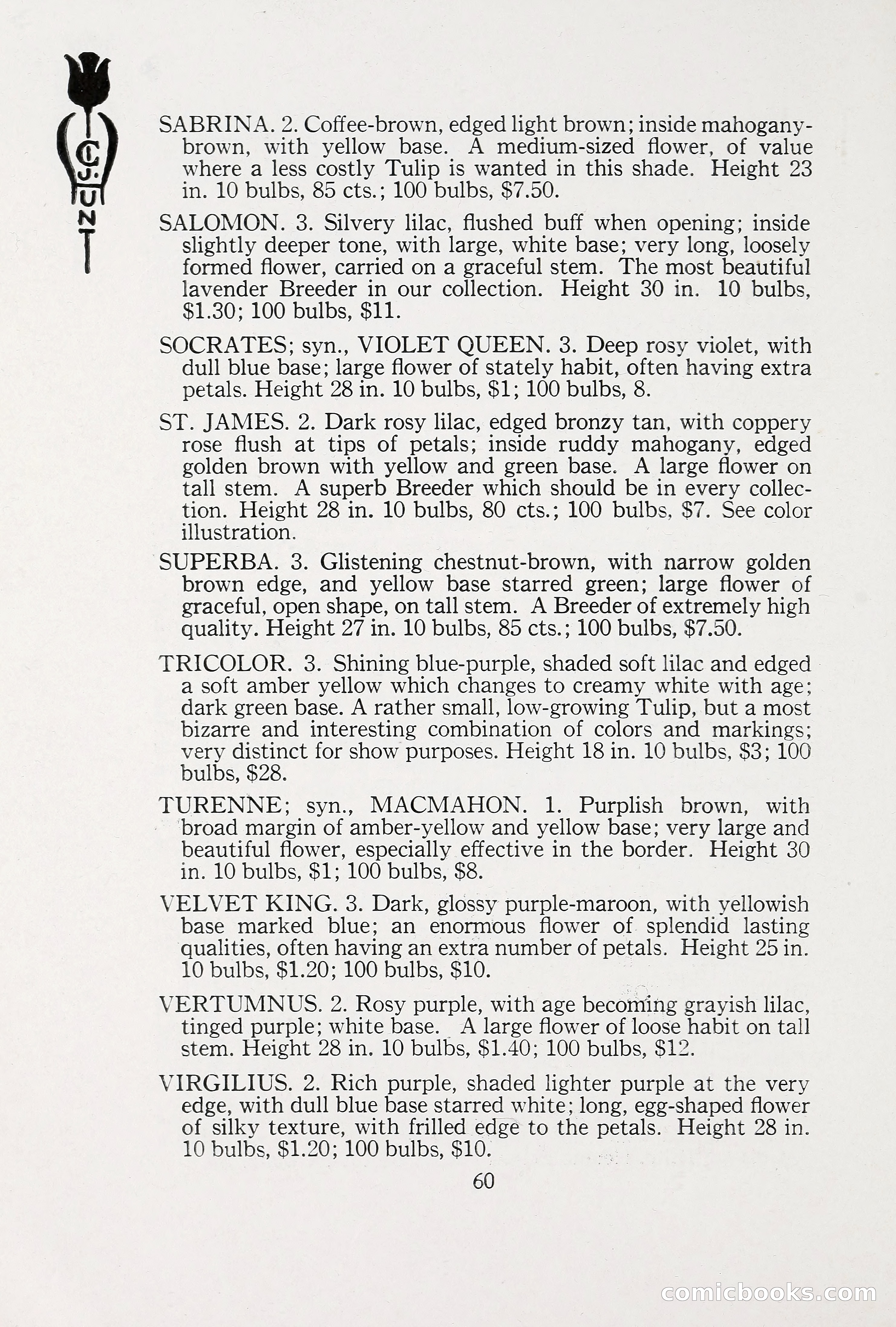 Blue Book of Bulbs, 1930 — page 85 of 140