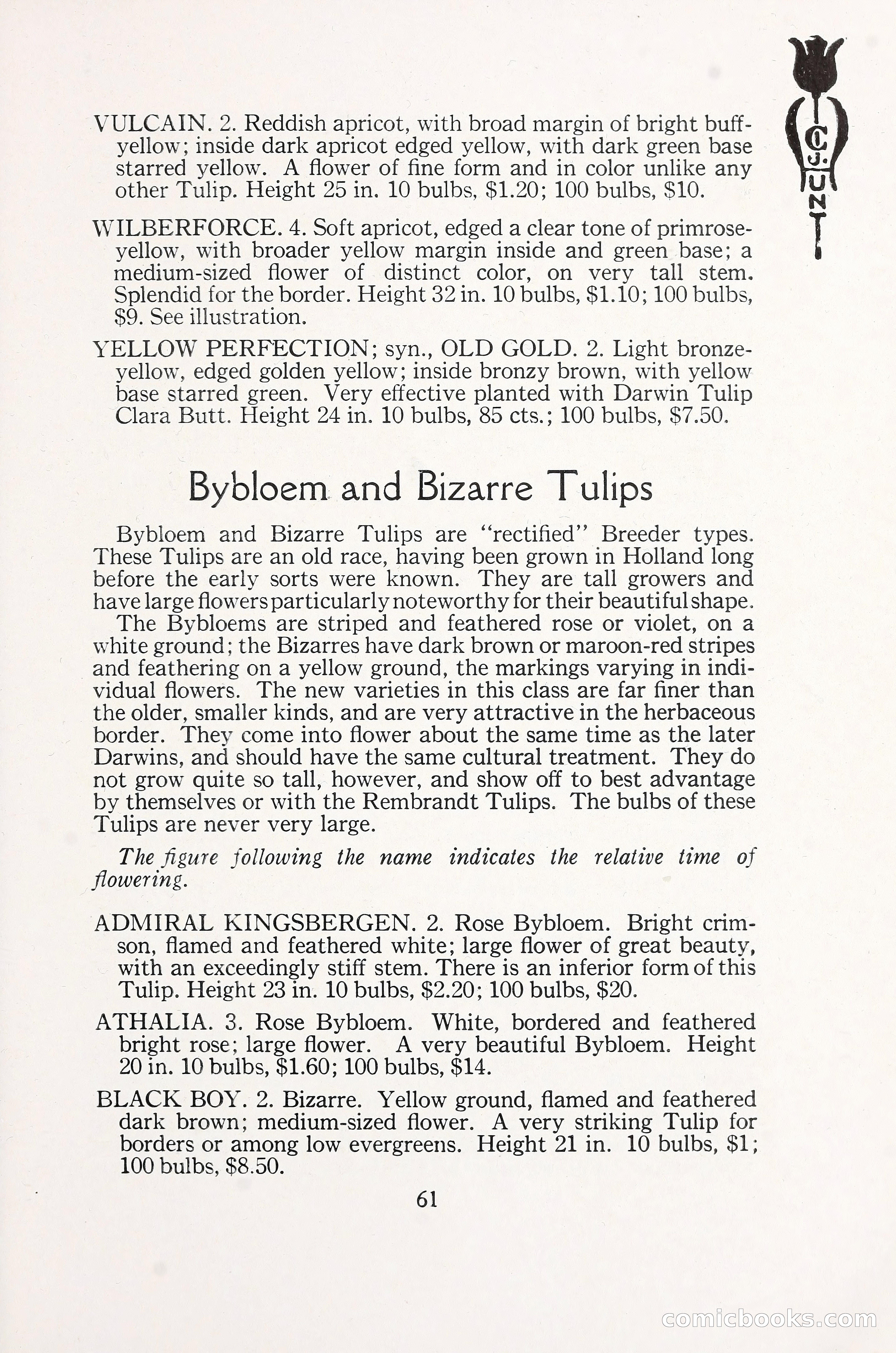 Blue Book of Bulbs, 1930 — page 86 of 140