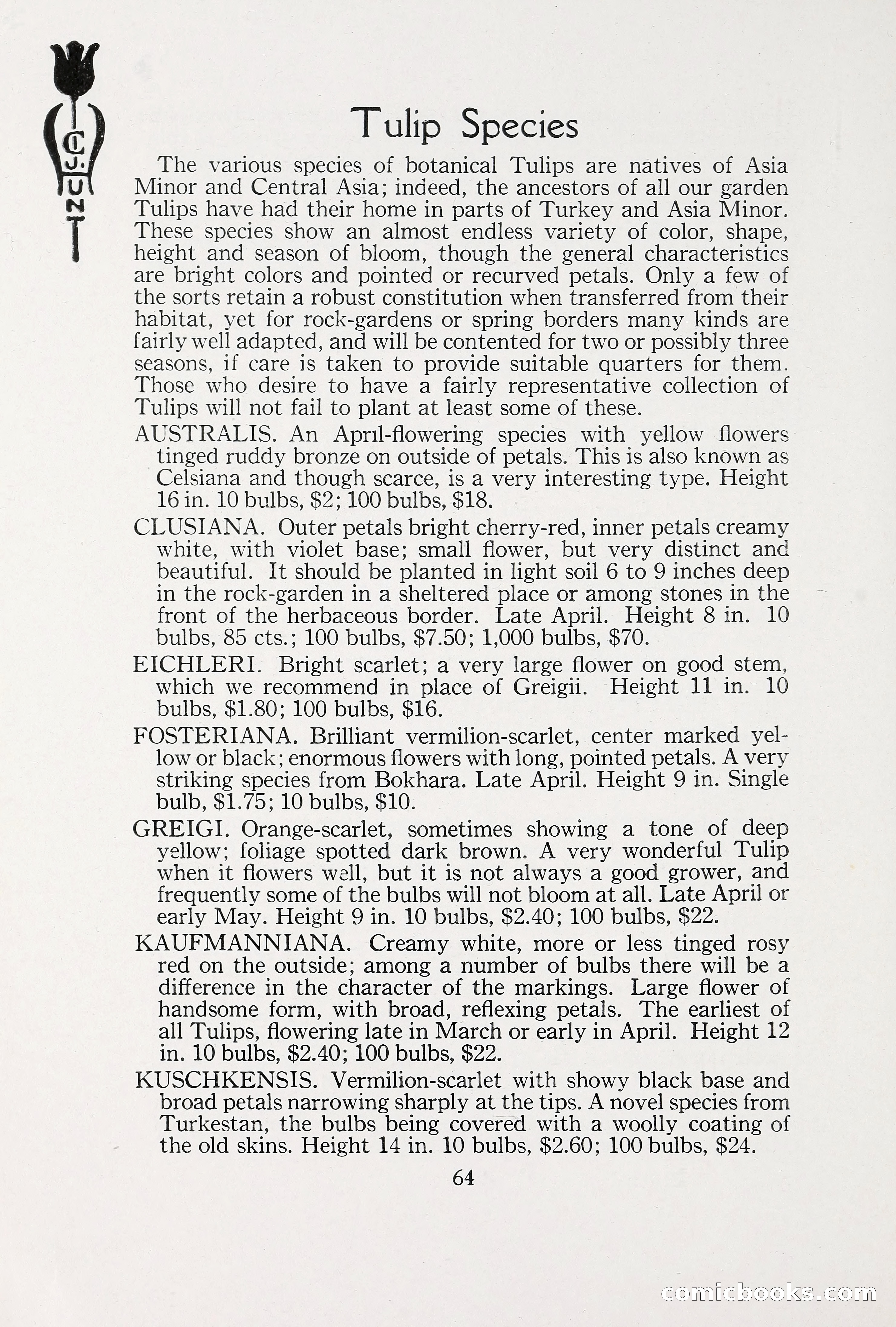 Blue Book of Bulbs, 1930 — page 89 of 140