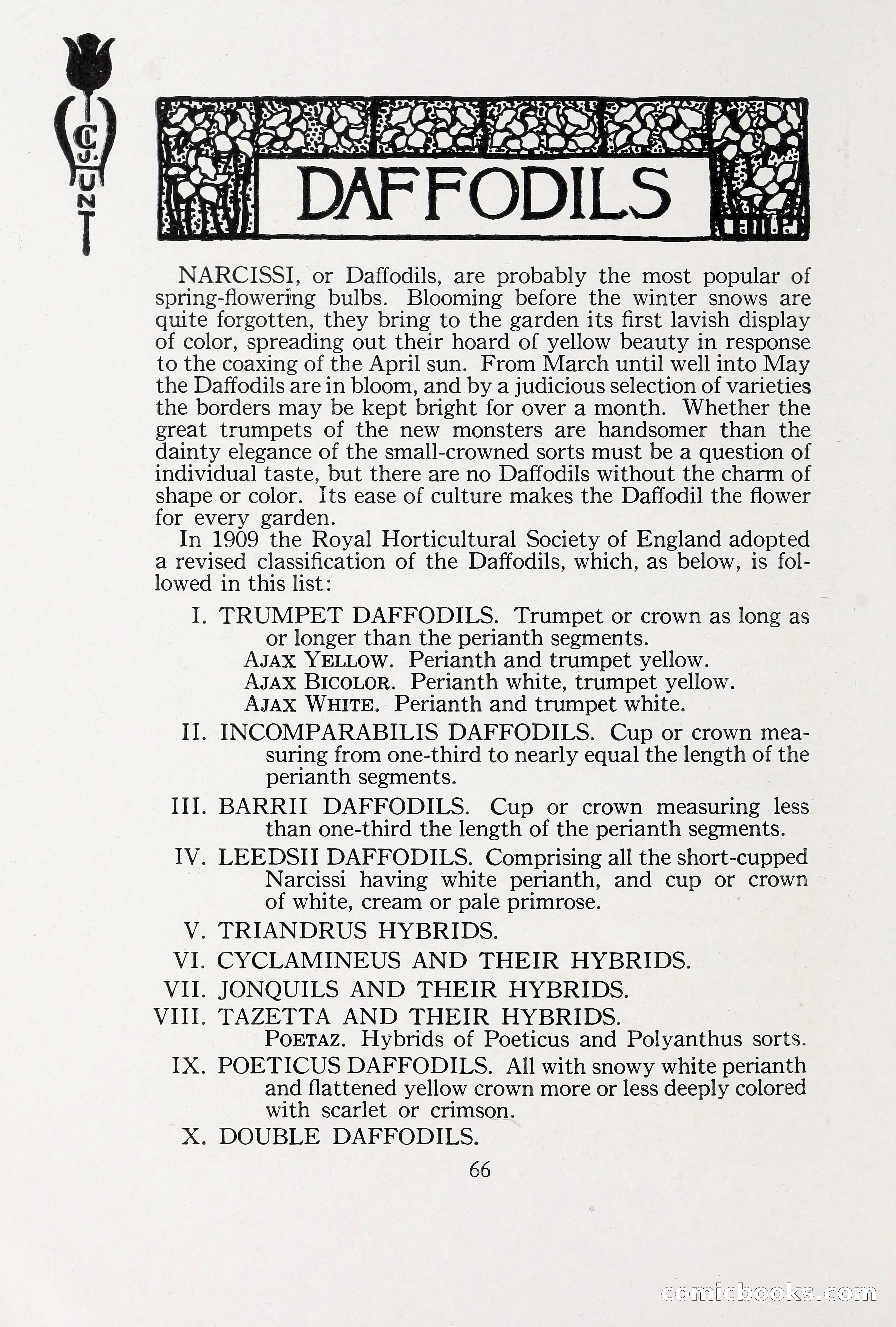 Blue Book of Bulbs, 1930 — page 91 of 140